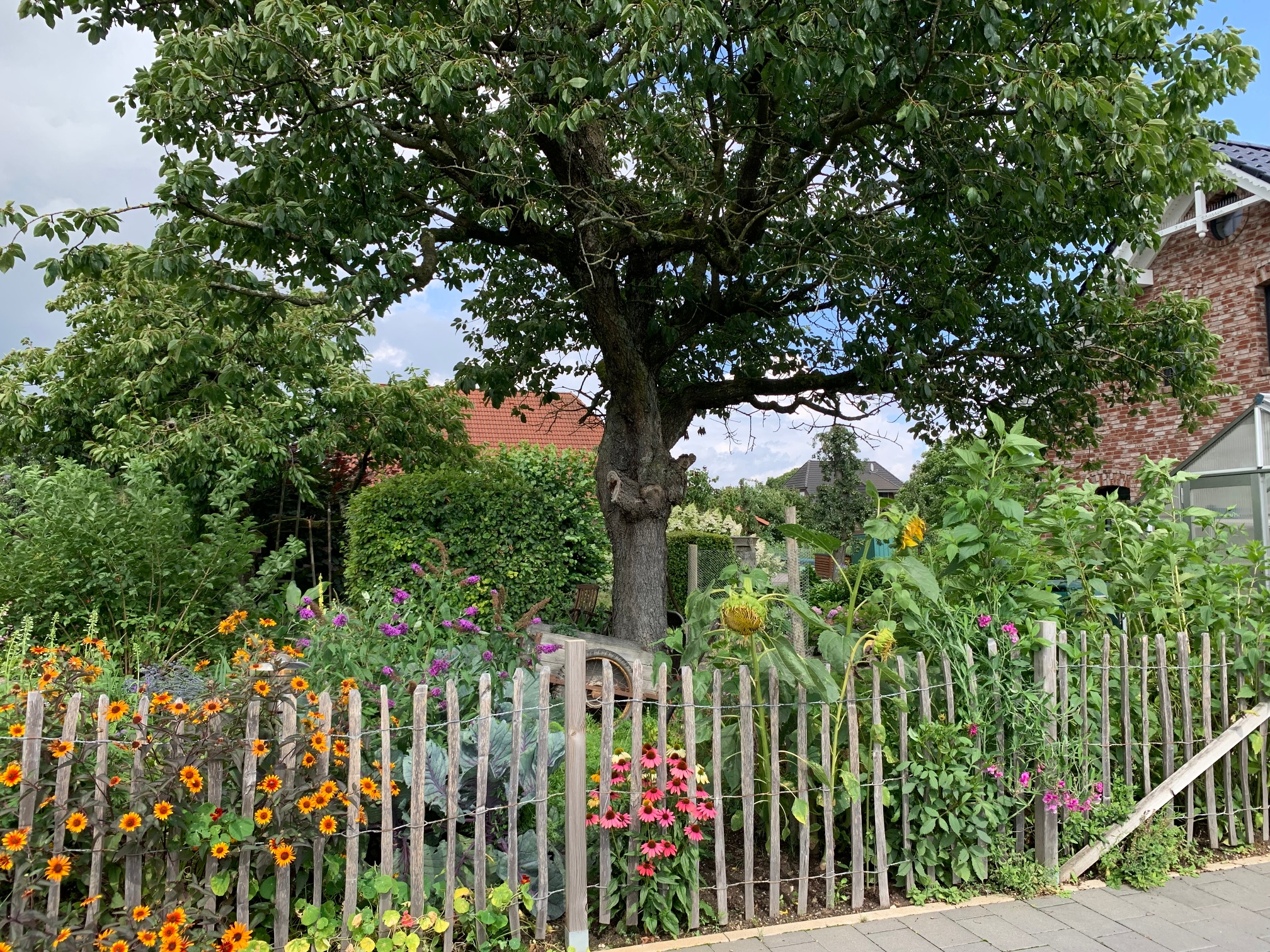 Spermatozoidlar bilan ayol orgazm video