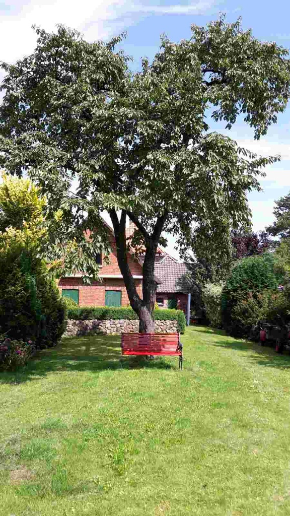 Garten Ferienwohnung Kehrwieder in Grünendeich