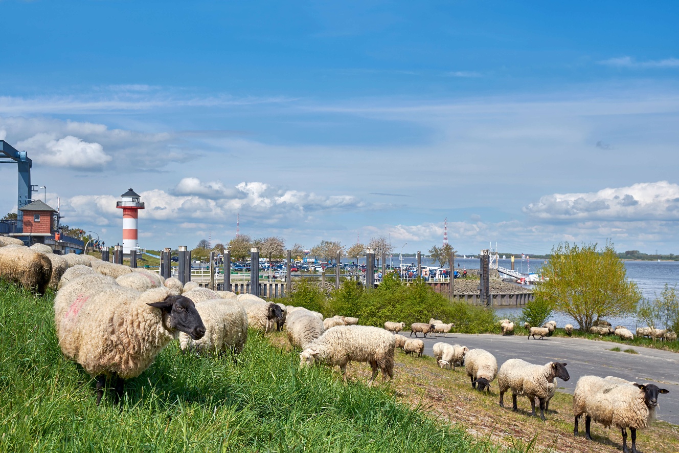 Samtgemeinde Lühe: Altes Land am Elbstrom