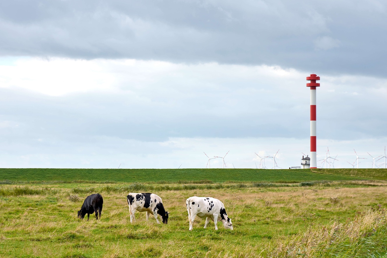 Naturerlebnis Kehdingen