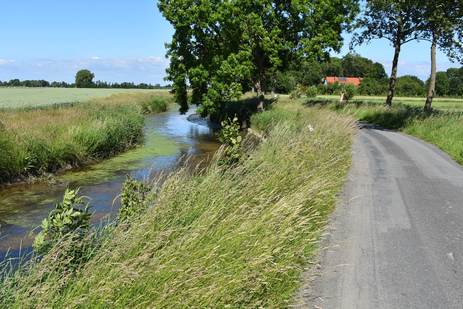 Info-Punkt Rönndeich, Osten