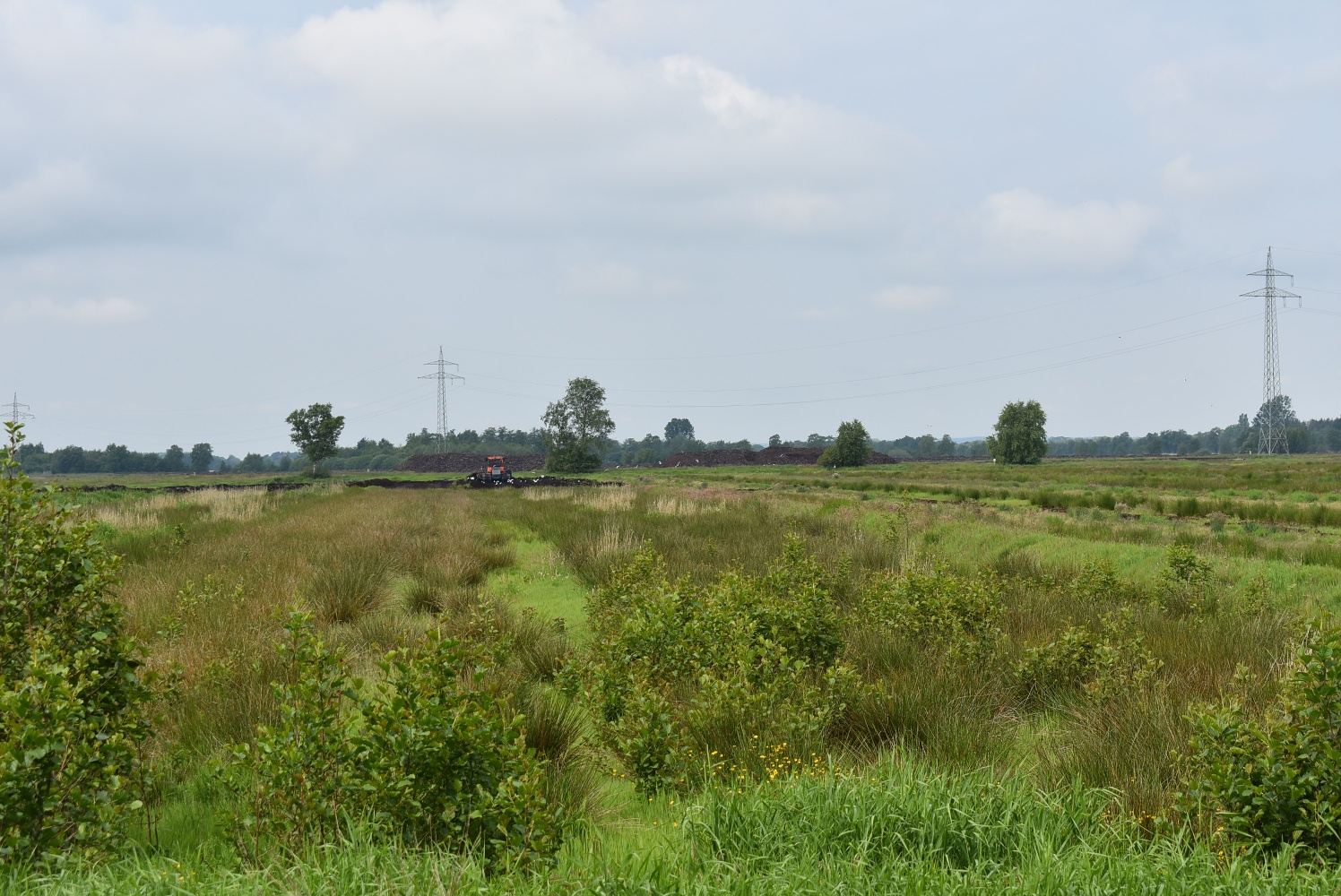 Info-Punkt Dritter Kanal, Wischhafen