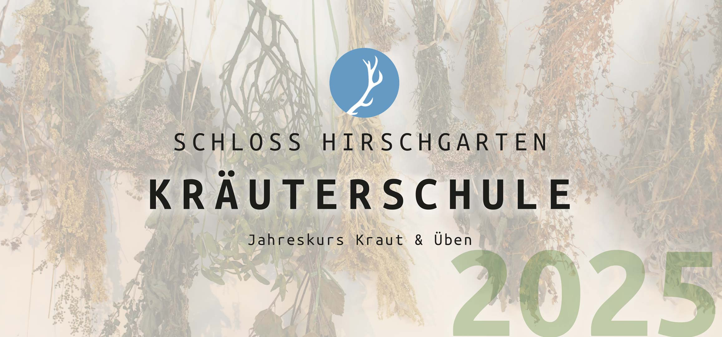 Kräuterschule 2025