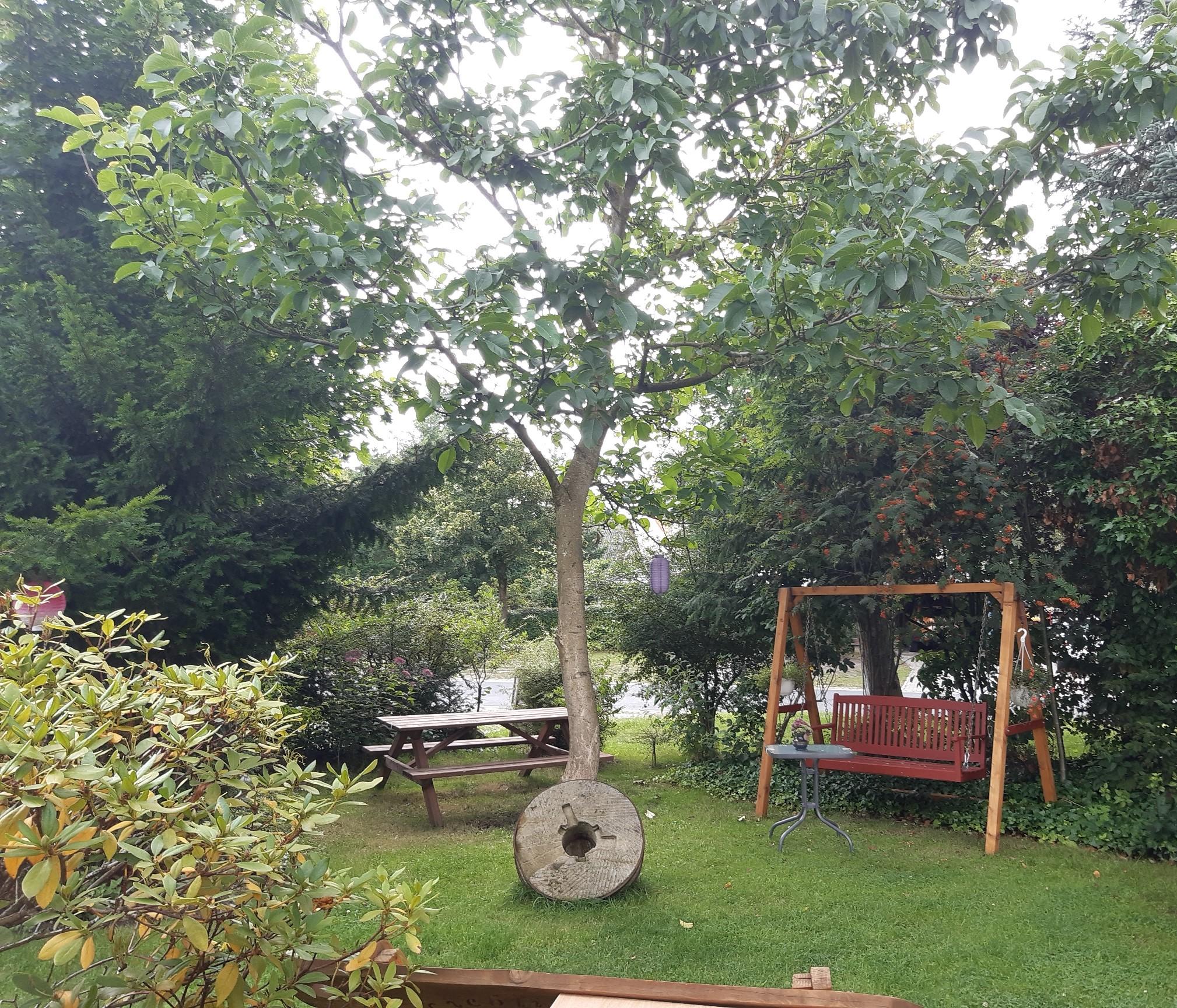 Erlebnishof Dreyer, Hankensbüttel