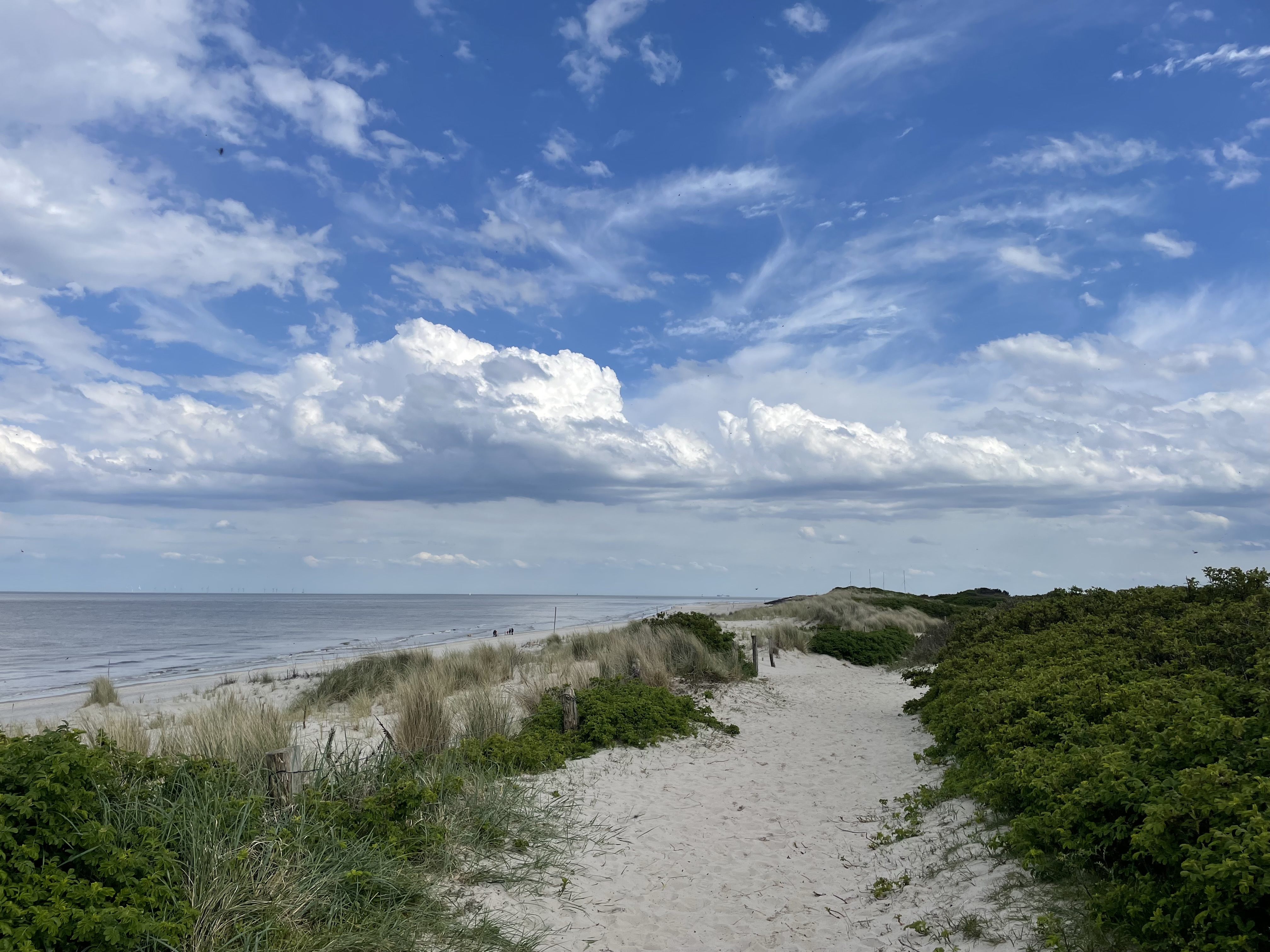 Nationalpark-Inseltour__Wangerooges_Lebensräume4.jpg