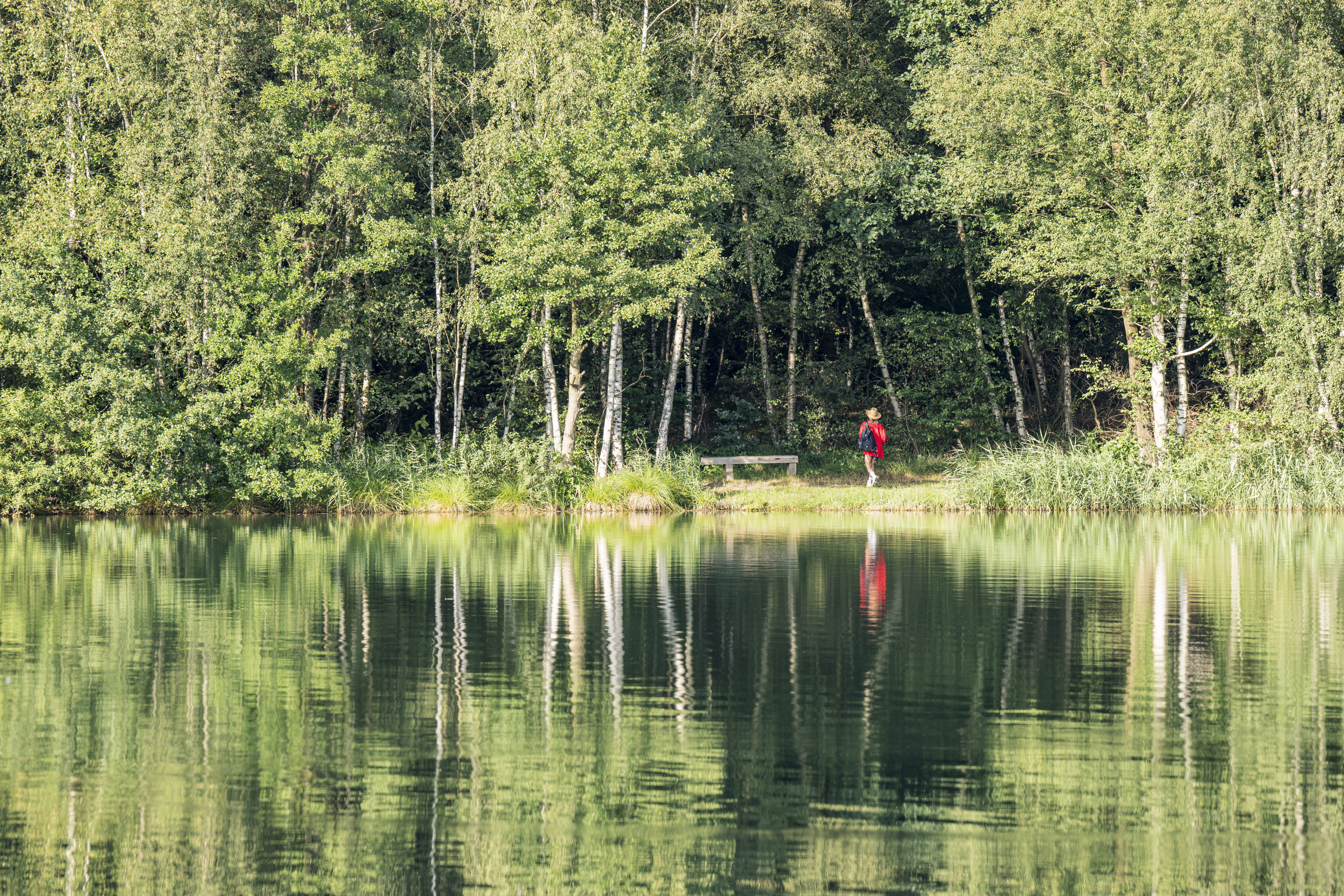 Horster Moorsee