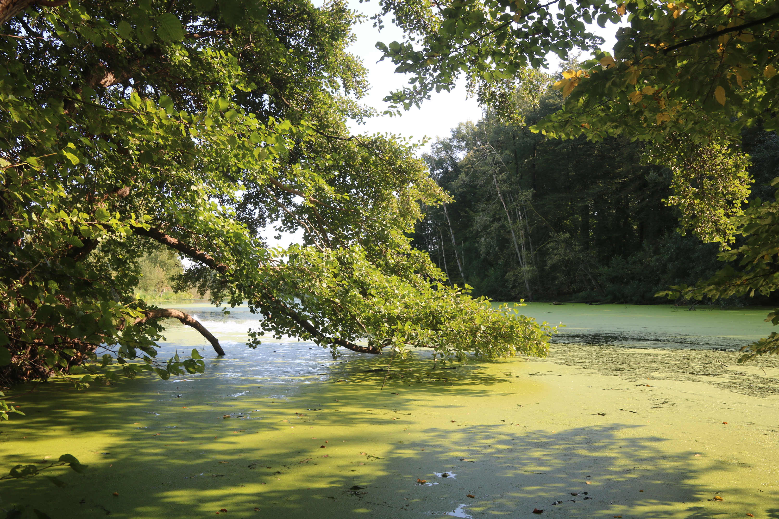 Südliches Emsland – Leben am Fluss