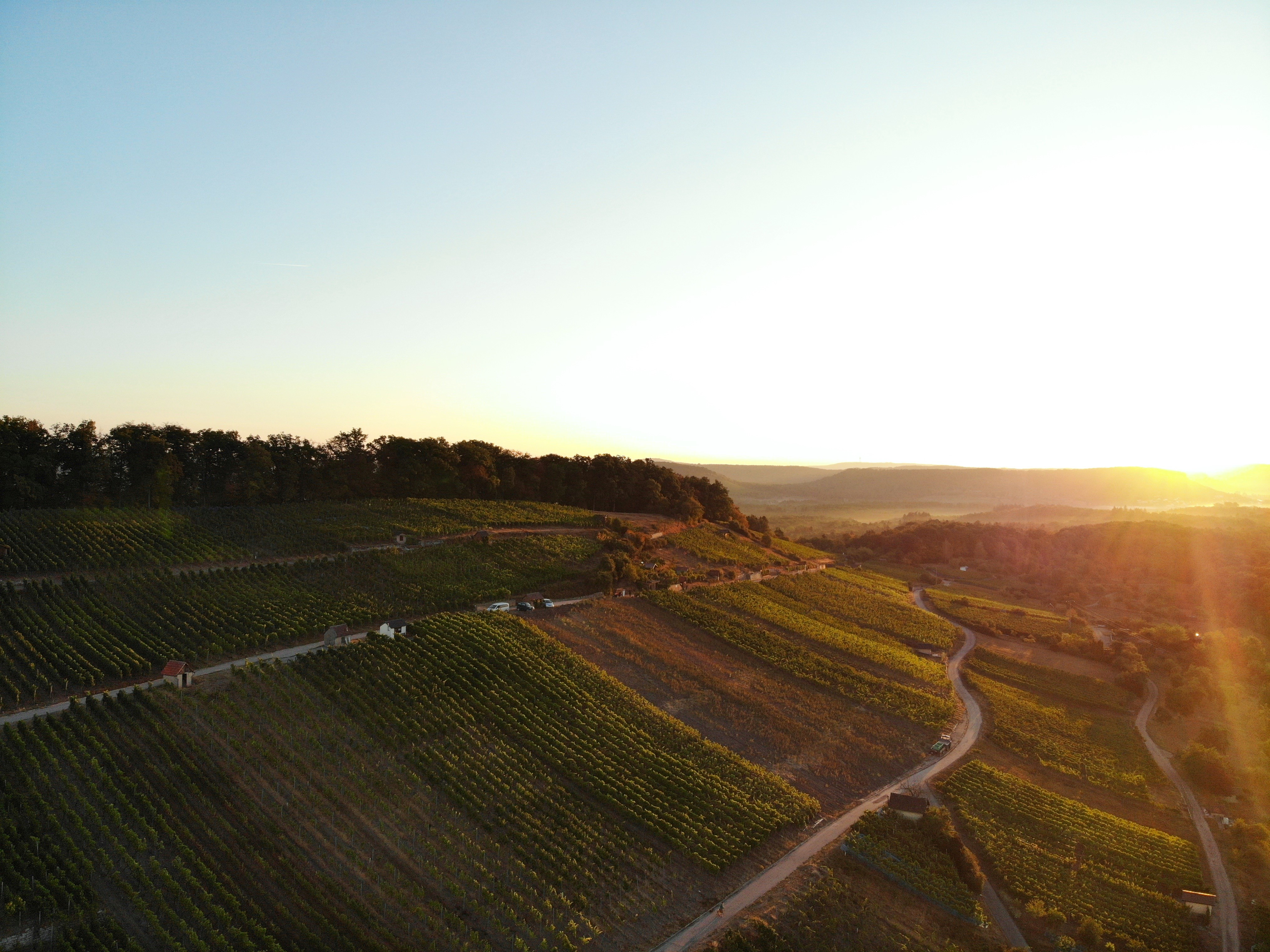 2024 Lienzingen Weinberge CCBYSA