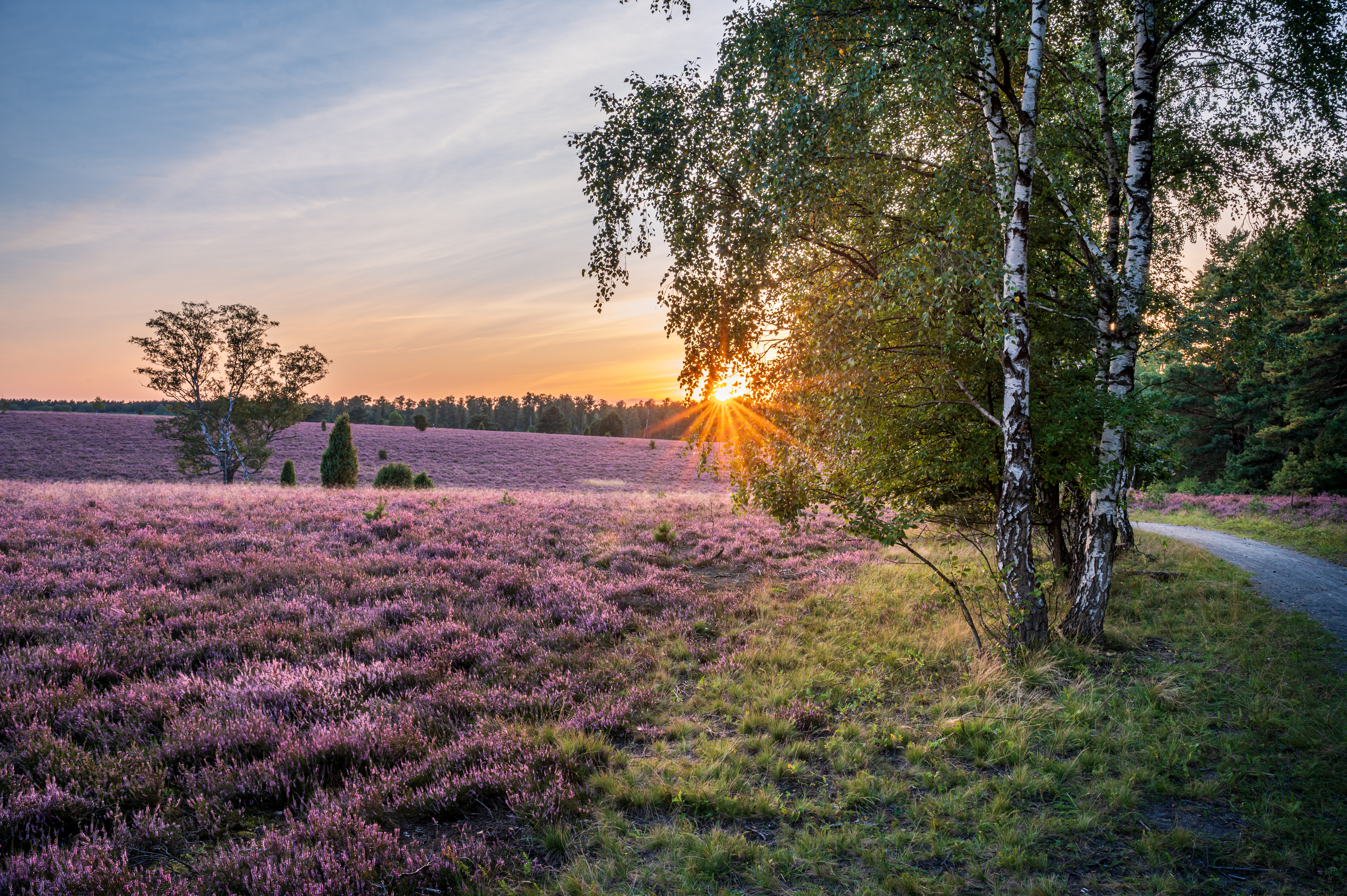 Naturpark Südheide