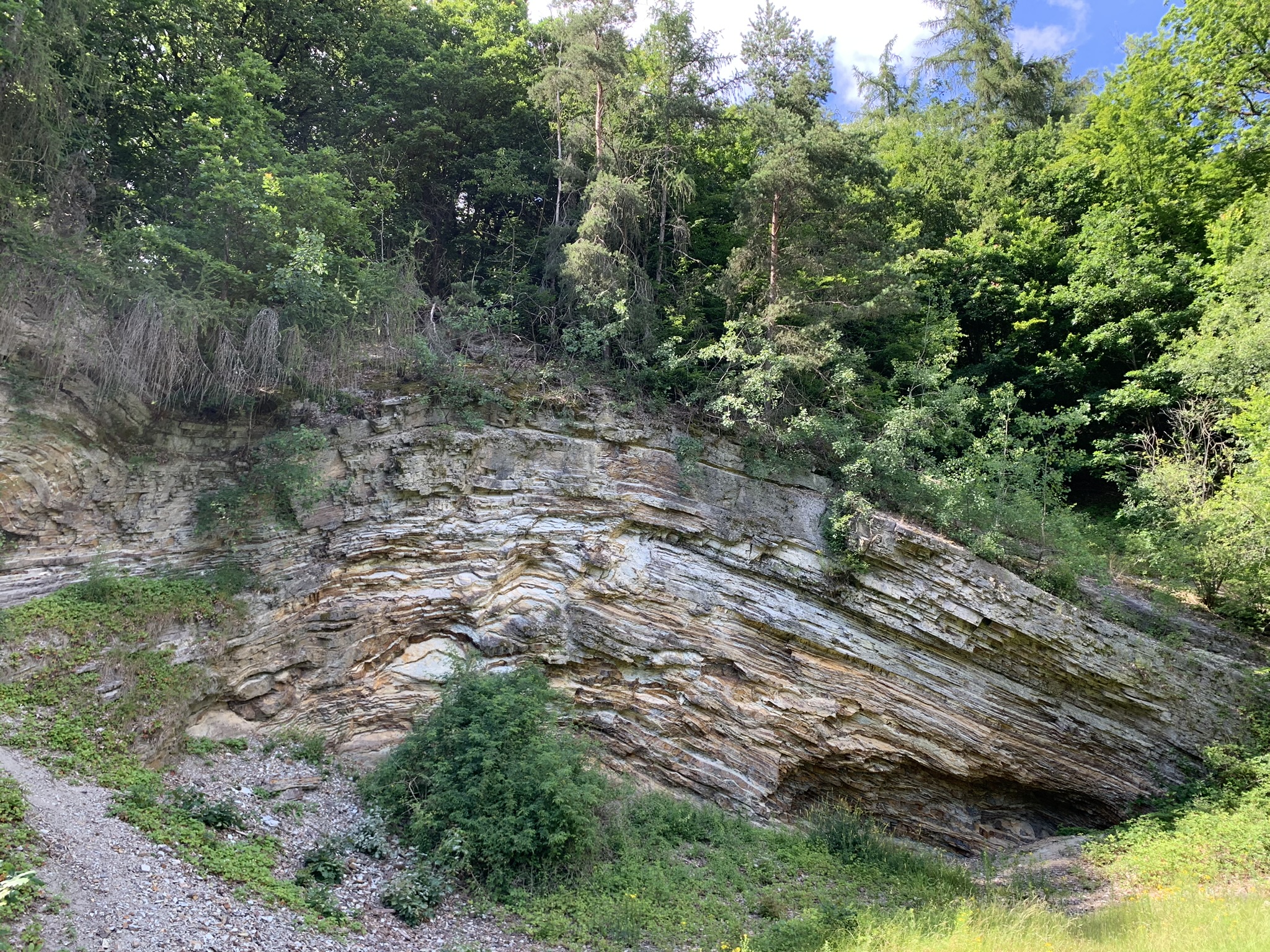 Bergfreiheiter Welle im im Frühjahr