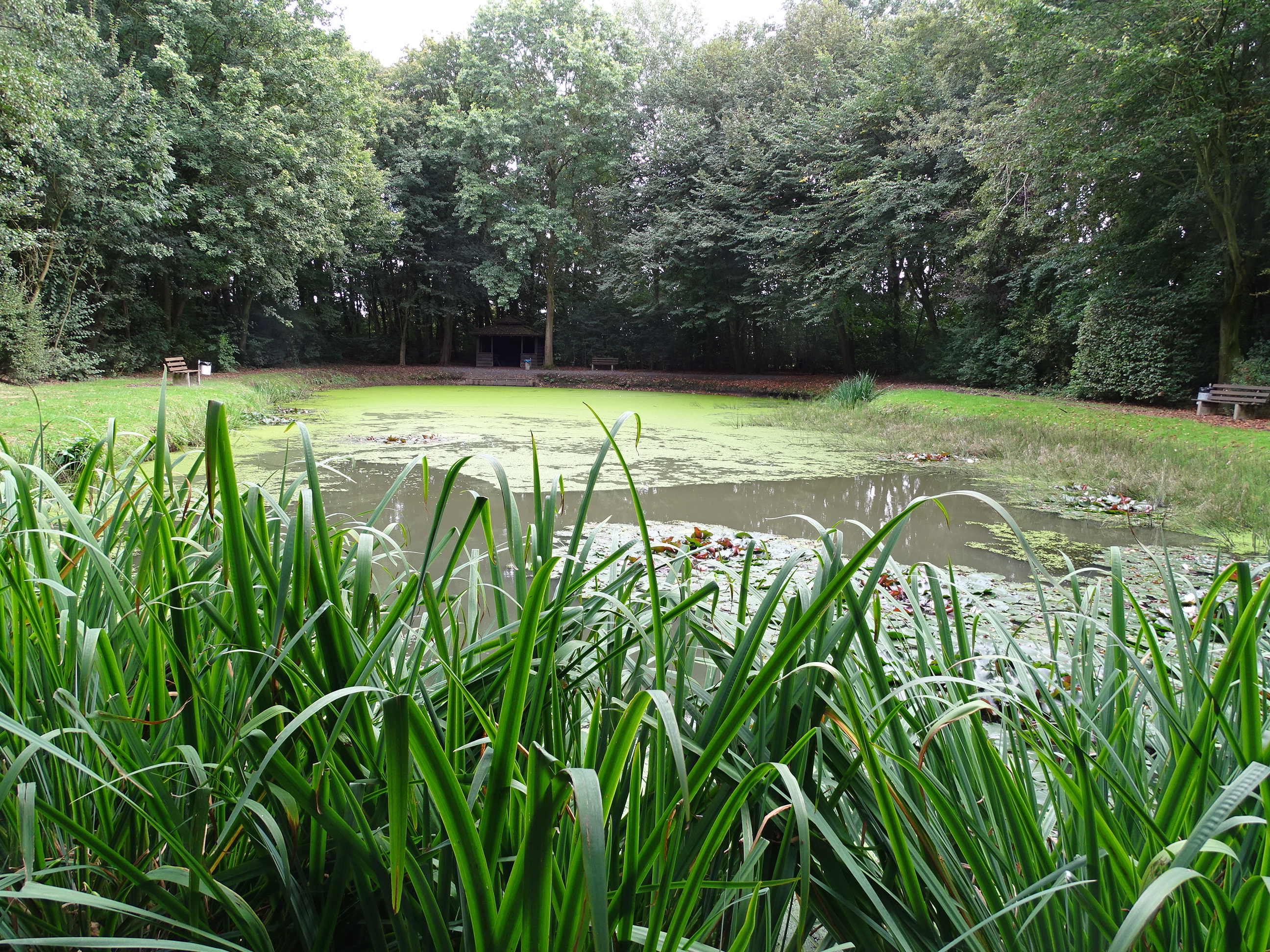 Bürgerpark Ovelgönne