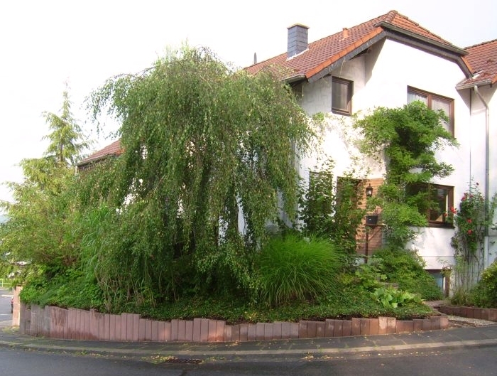 Weitblick.JPG
