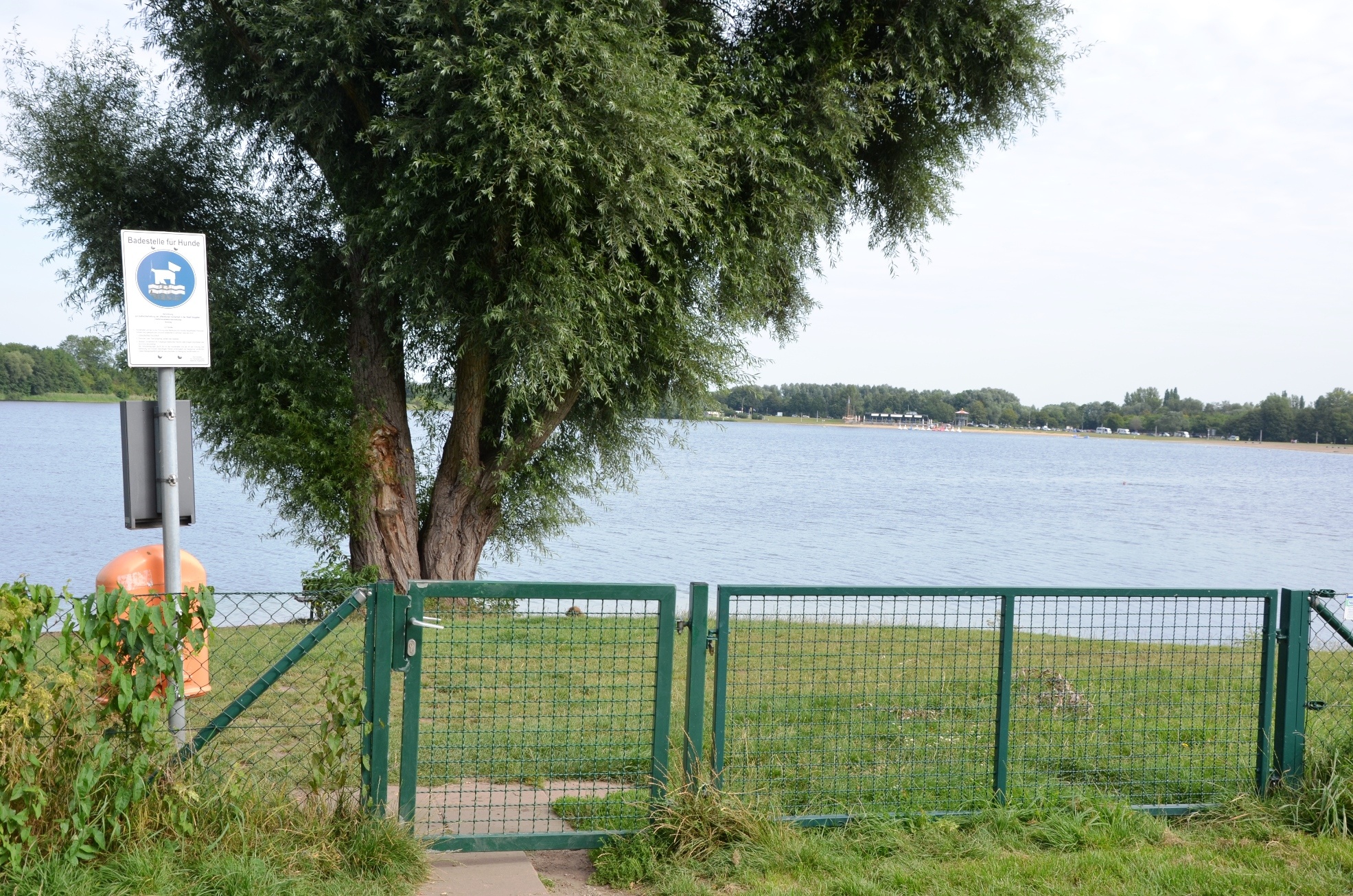 Hundebadestelle am Salzgittersee