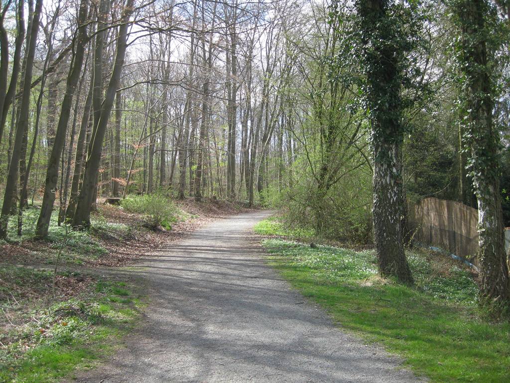 Terrainkurweg Hasenspringroute