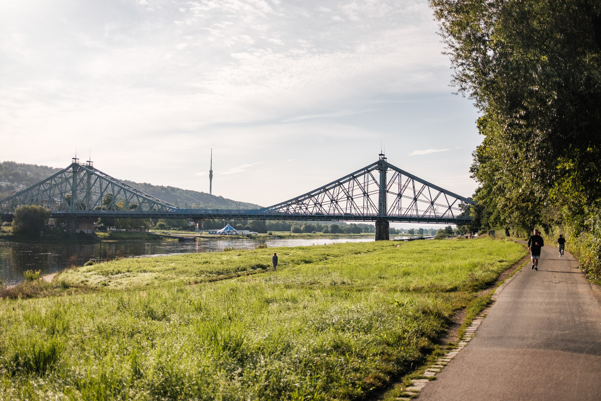 Elberadweg – Teilabschnitt Dresden Elbland – linkselbisch – Motiv