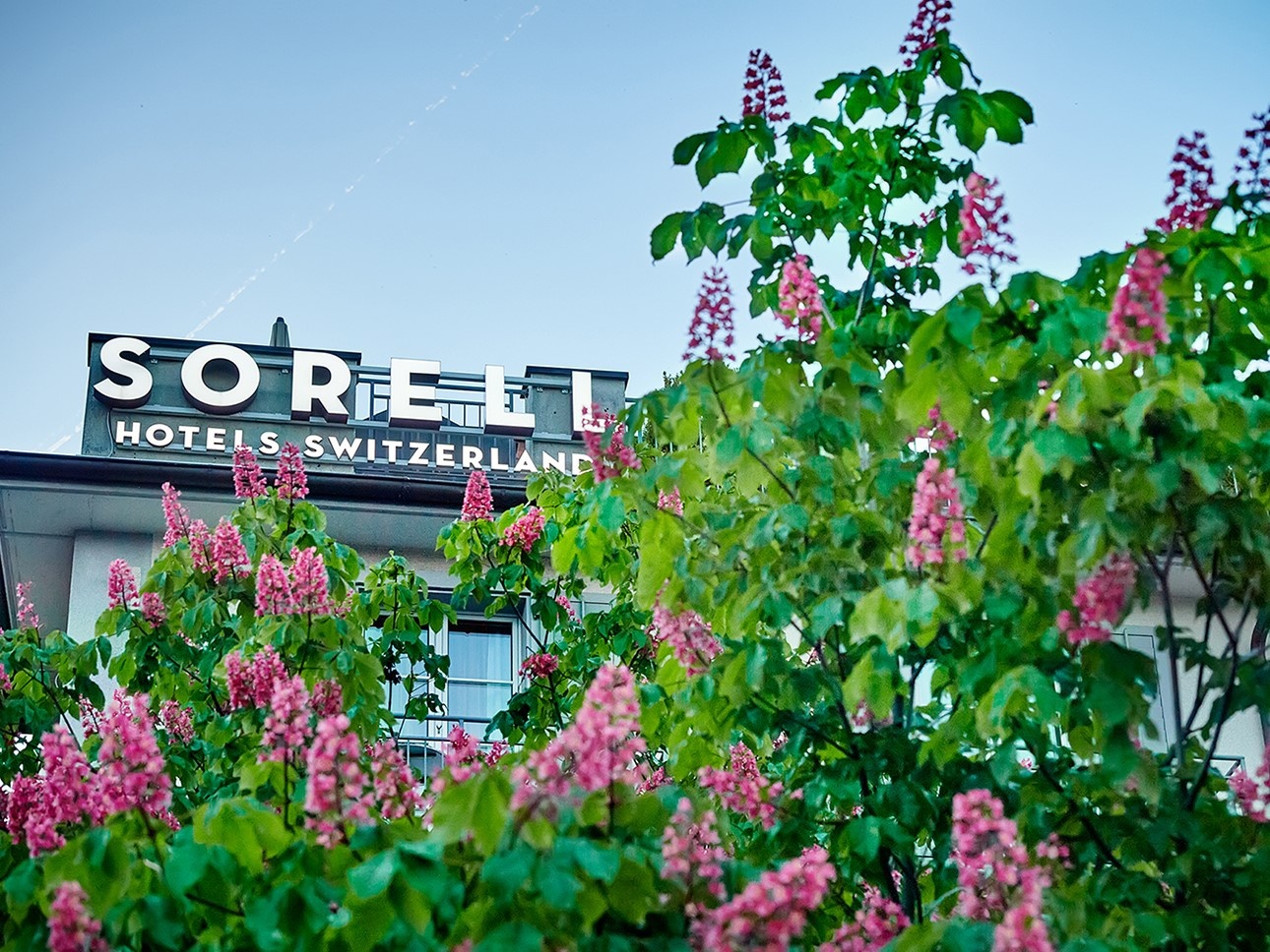 Sorell Hotel Speer – Bild