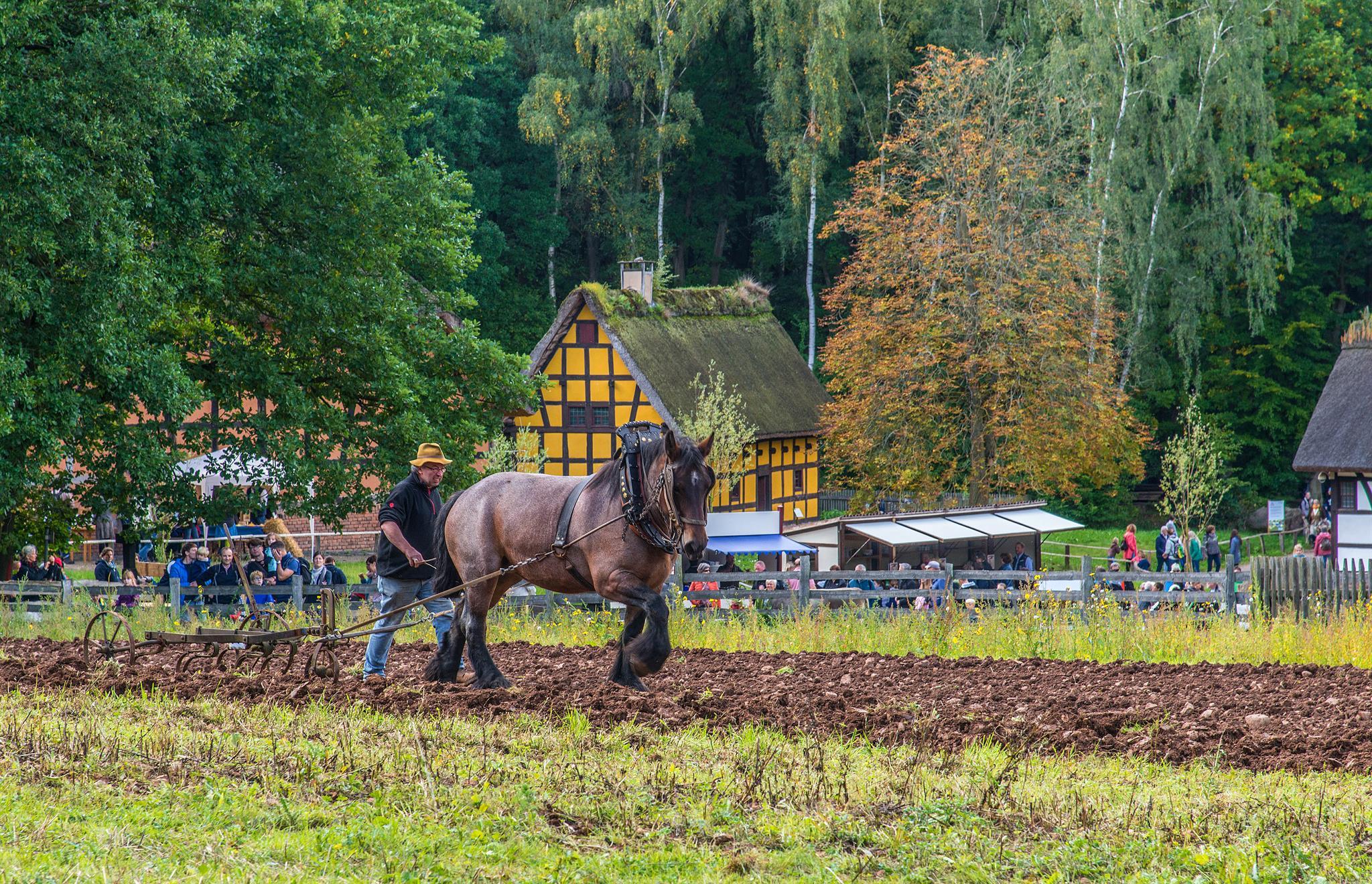 Arbeiten auf dem Feld