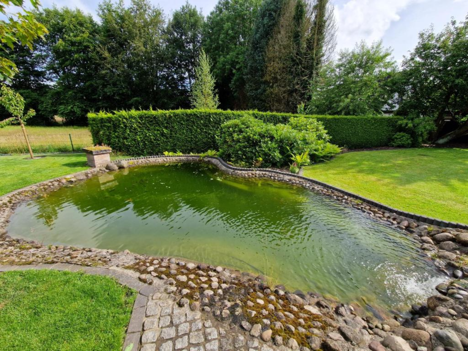 Blickfang - der Gartenteich an der FW Lieblingsort am Moor