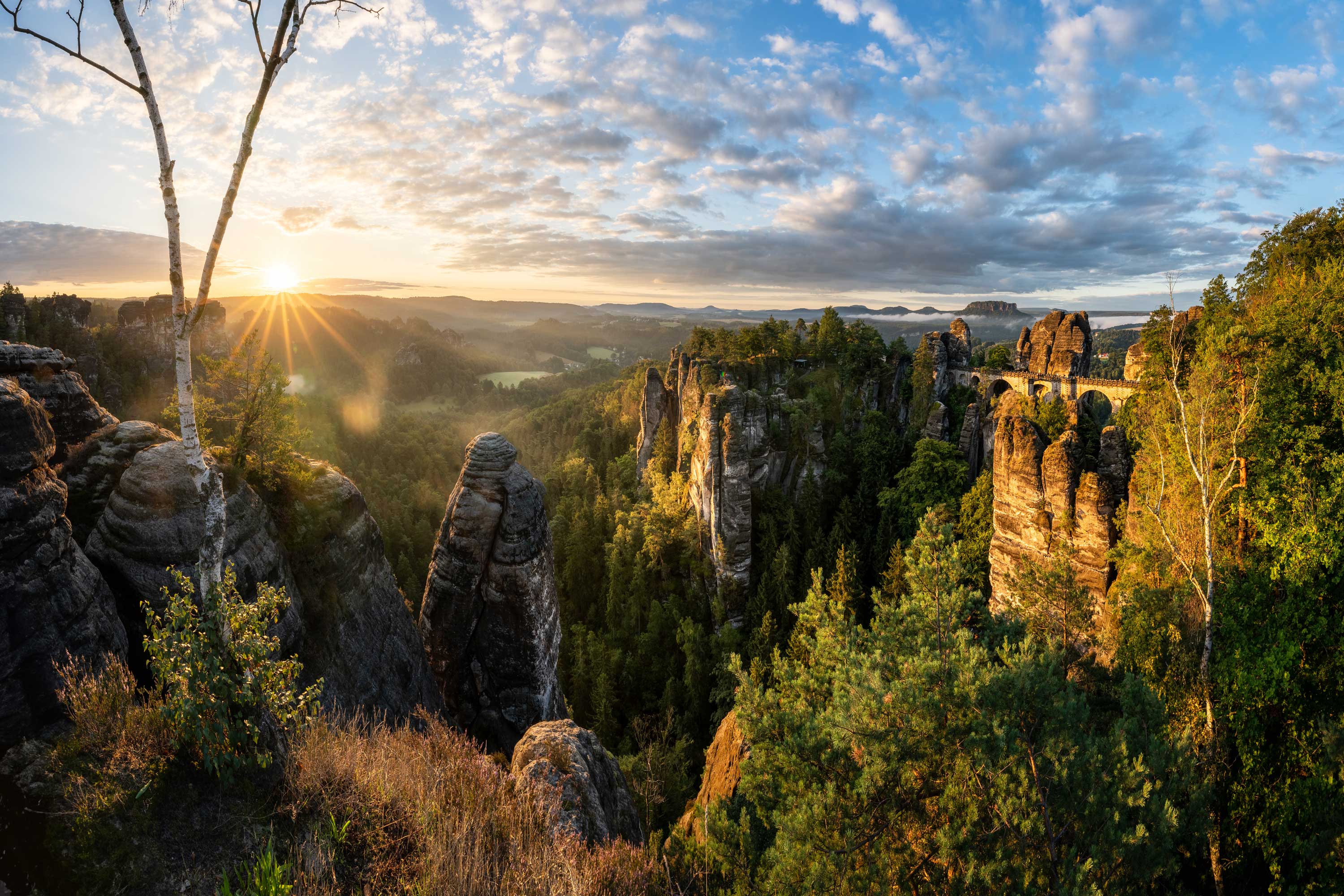 Dynamische Naturkräfte zwischen Felsstürzen und Waldbrandfolgen im Elbsandsteingebirge