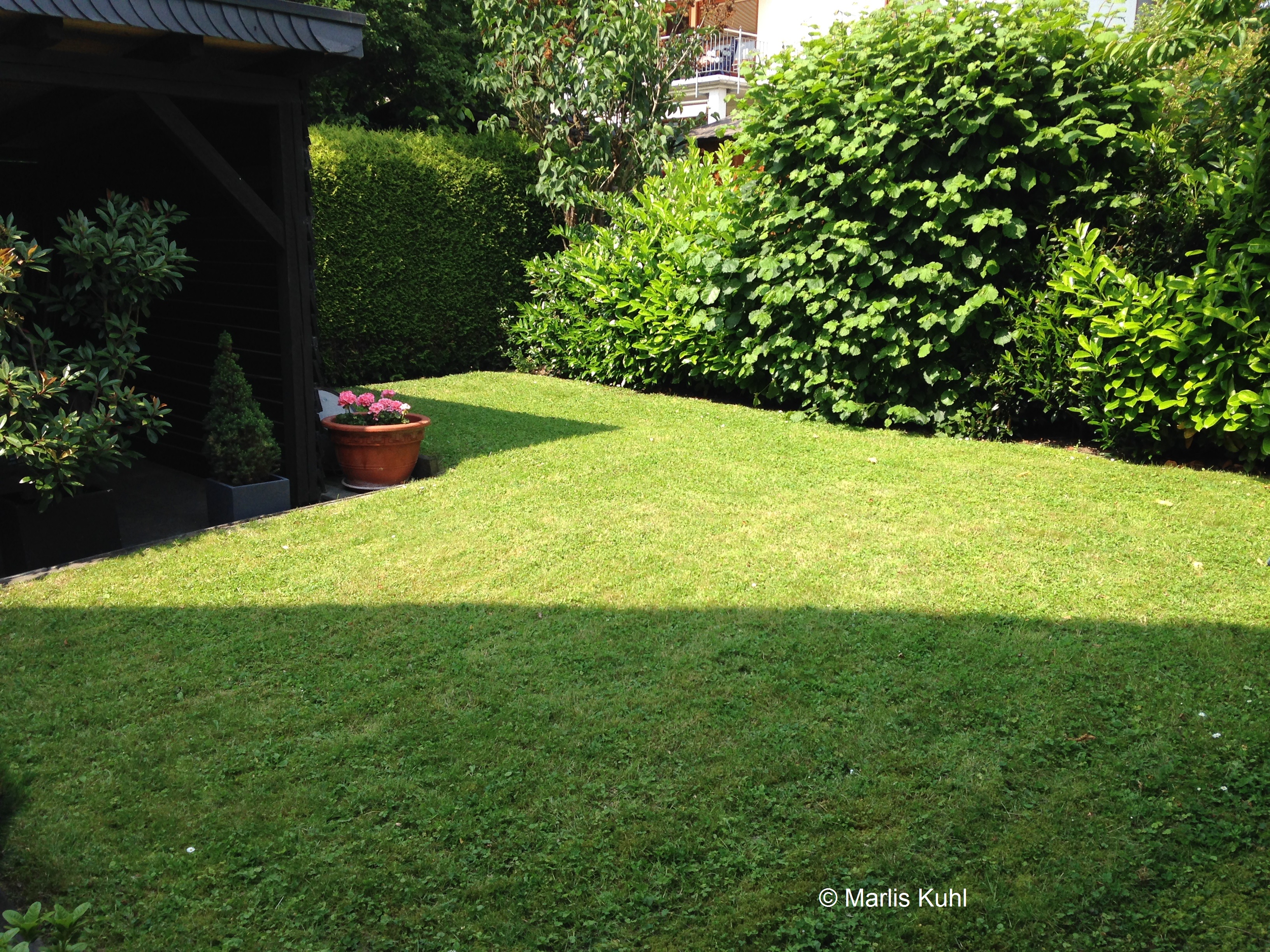 IMG_0616_Garten_Copyright.JPG