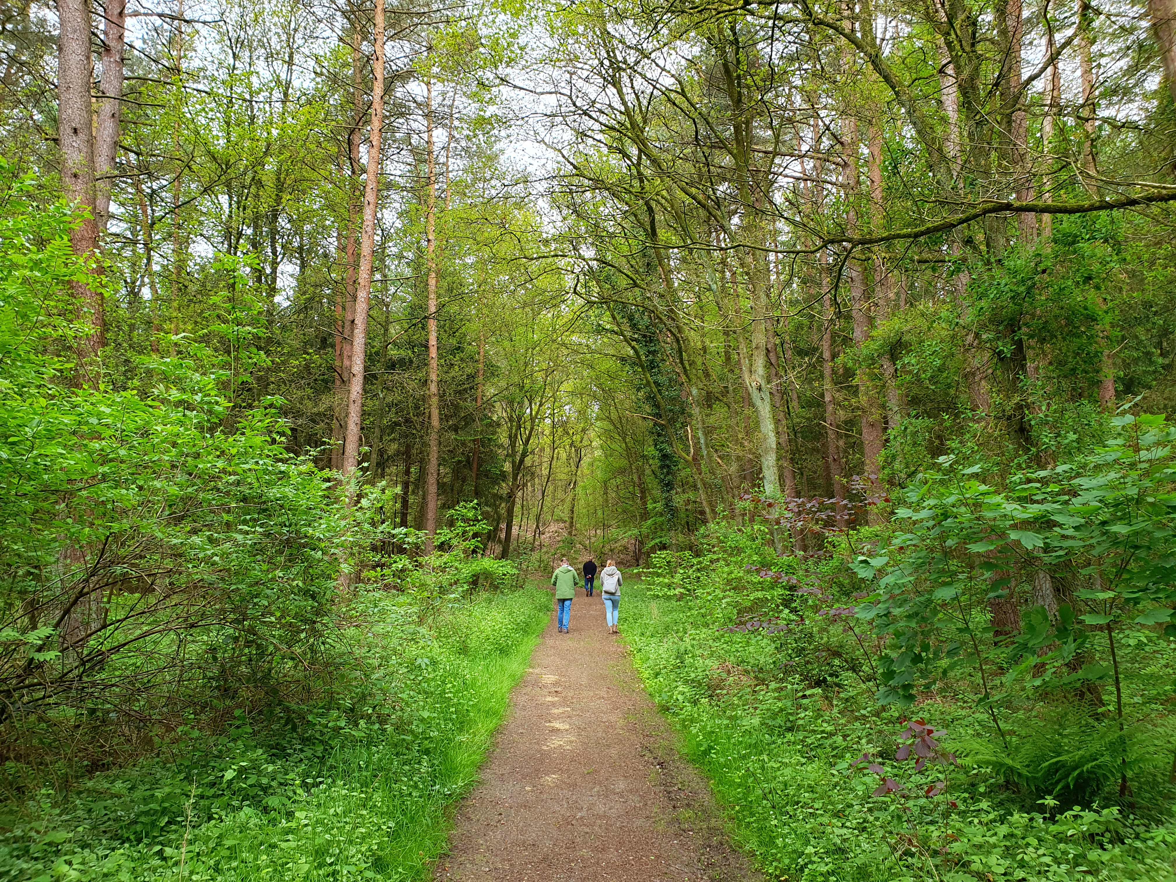 Naturschutzgebiet Holle Sand