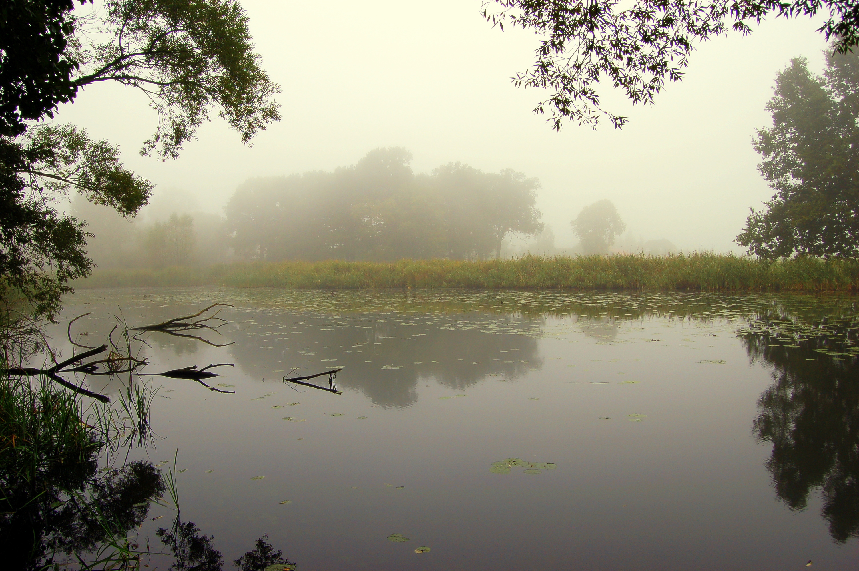 Zwischen Sumter See und Elbe (IV Sumter See)