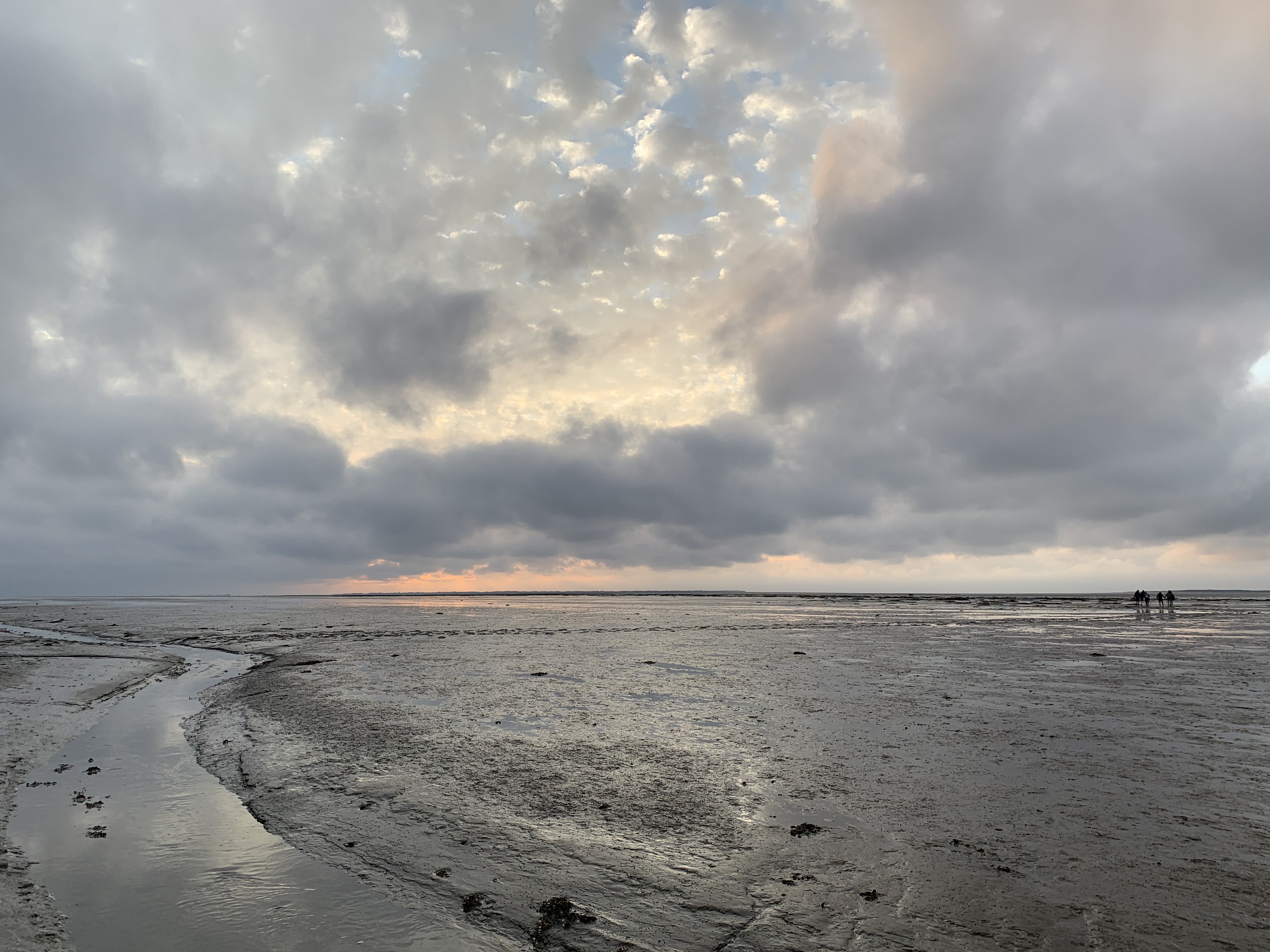 Abendstimmung über dem Watt in Dornumersiel. Die Gäste der Wattführung im Abendschein sind begeistert.