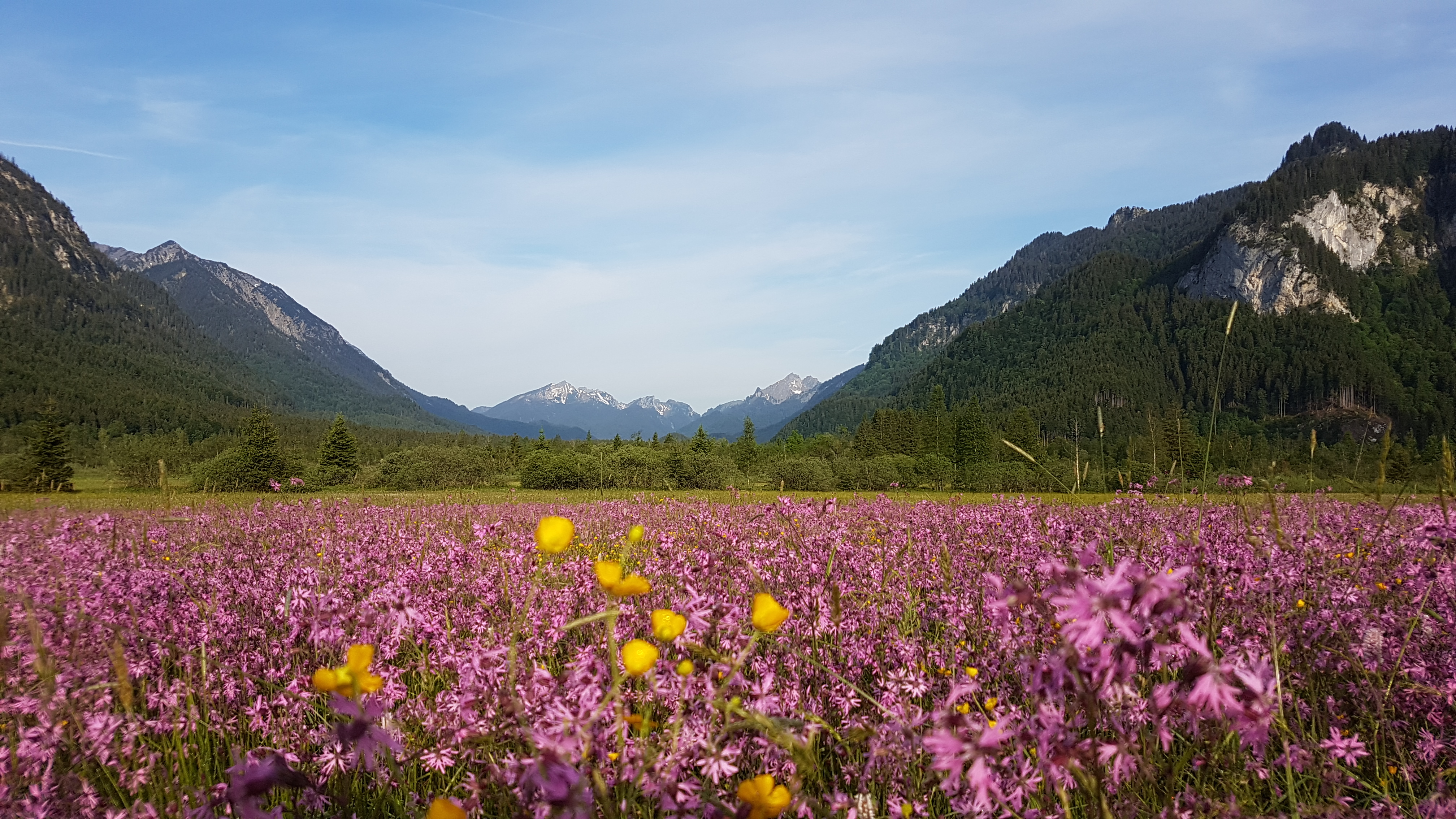 ru nudist youth Naked Party' Backlash Shows Double Standard in Attitude to Russian Hip-Hop  - The Moscow Times