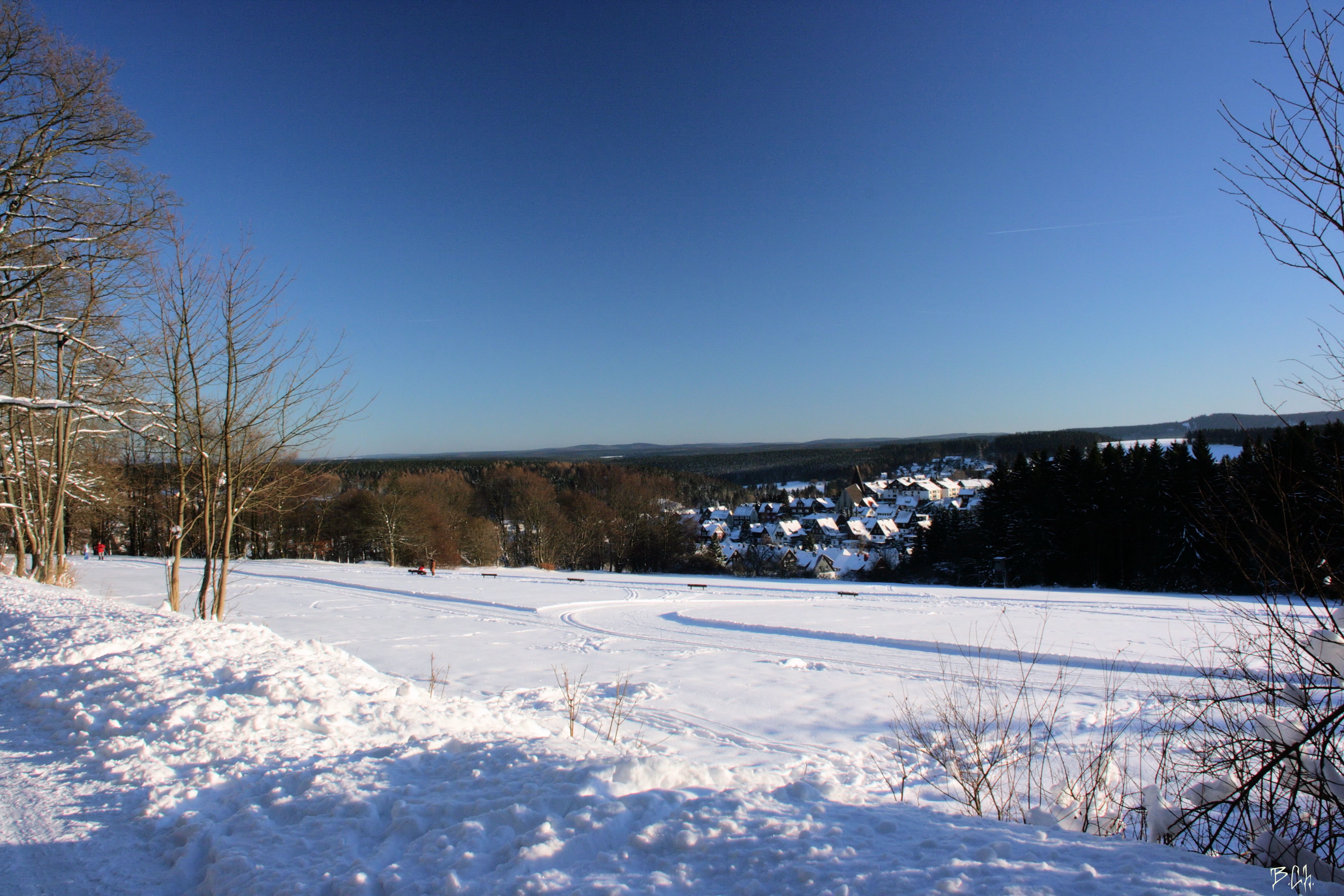 braunlage-winter-loipe(c)btmg.JPG