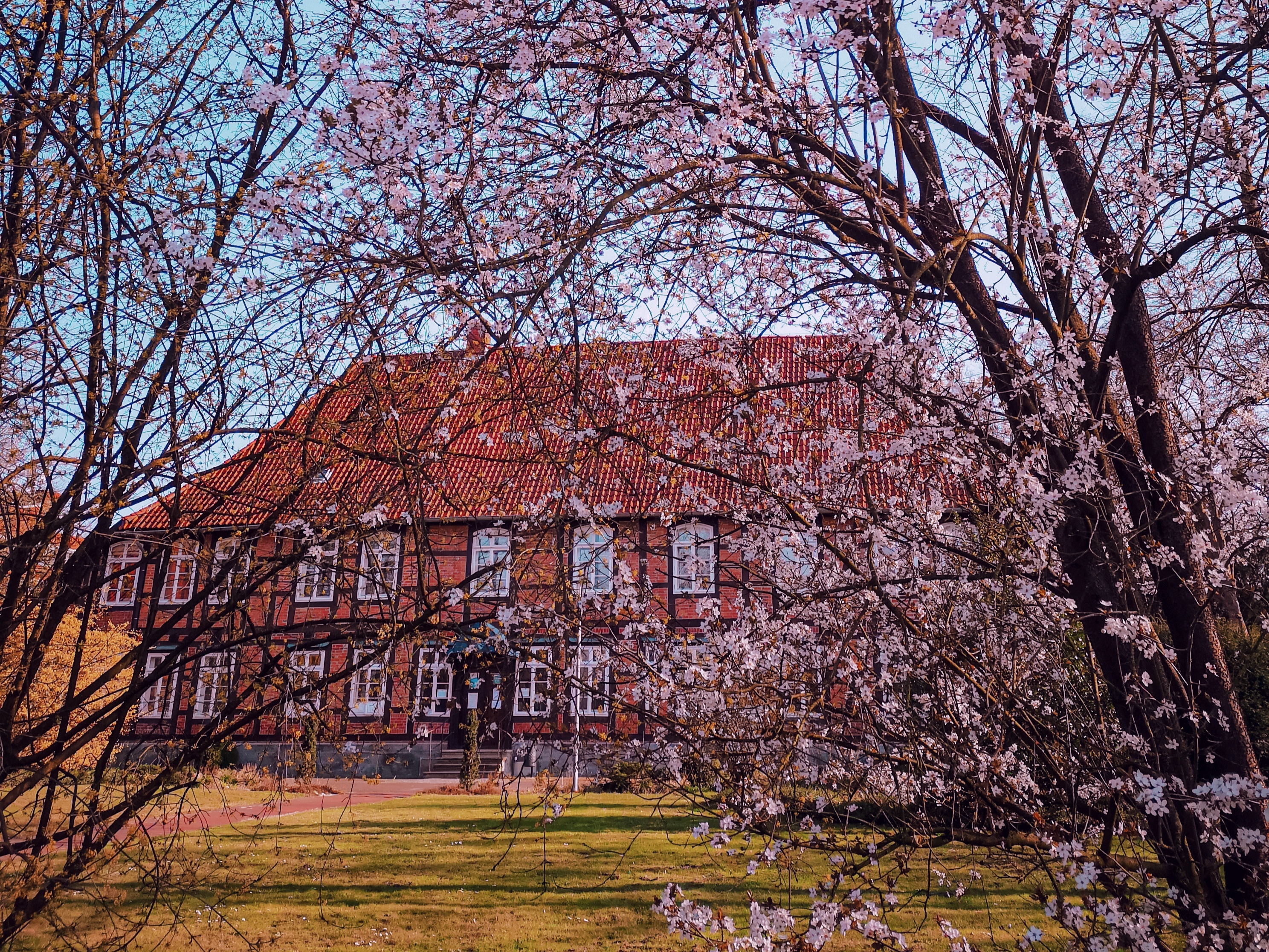 Alter Amtshof