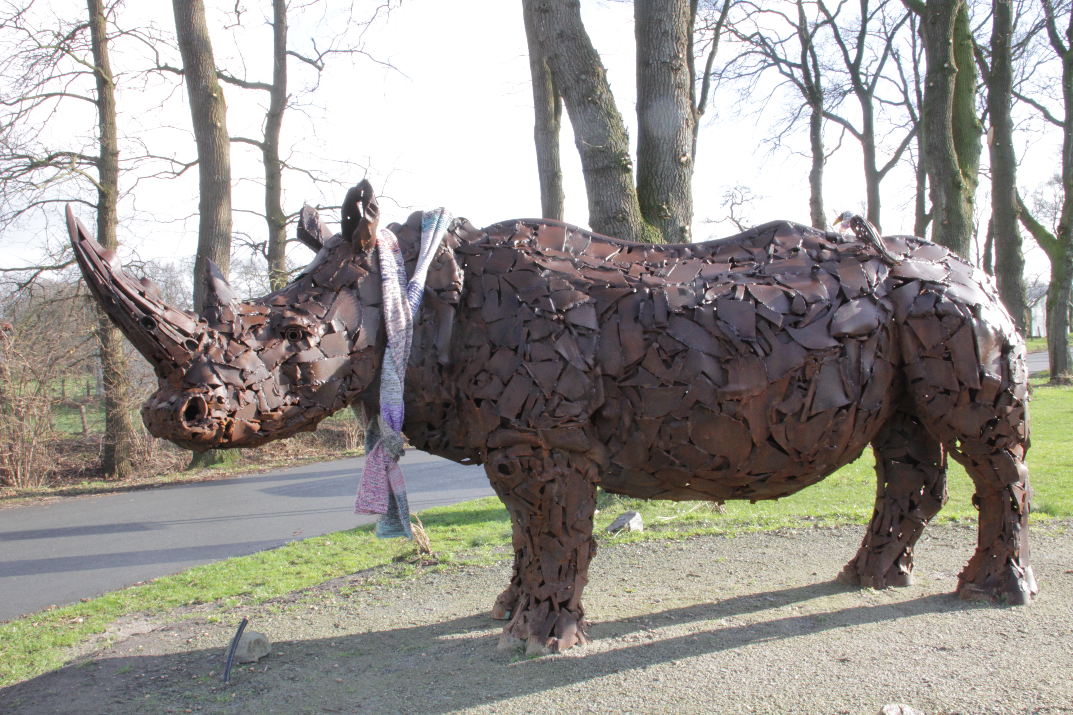 Nashorn Helmut