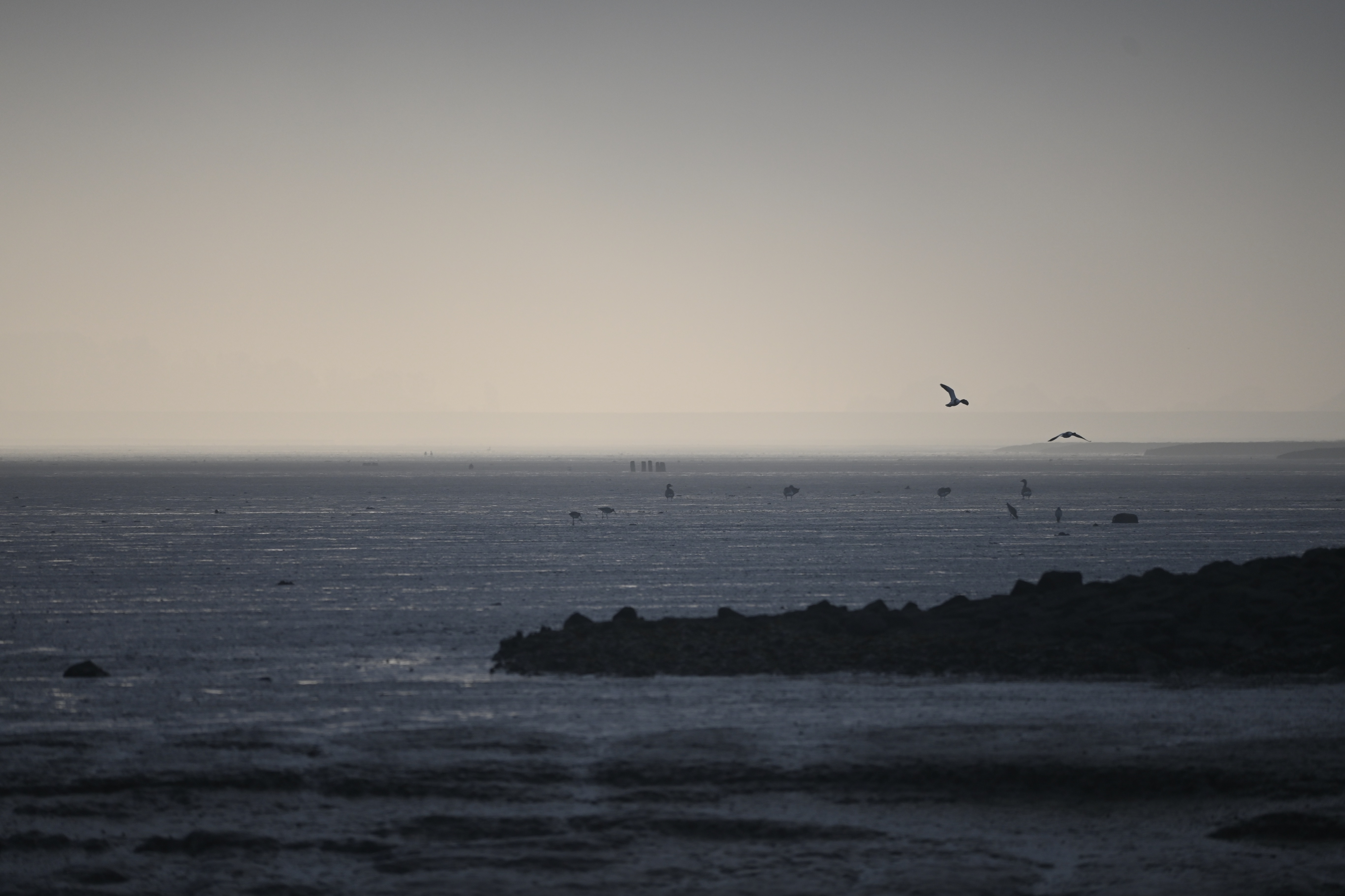 Morgendliche Stimmung rund um den Sonnenaufgang in Dornumersiel. Zugvogeltage 2021: Alle Vögel sind schon da - Vogelbeobachtung und Frühstück