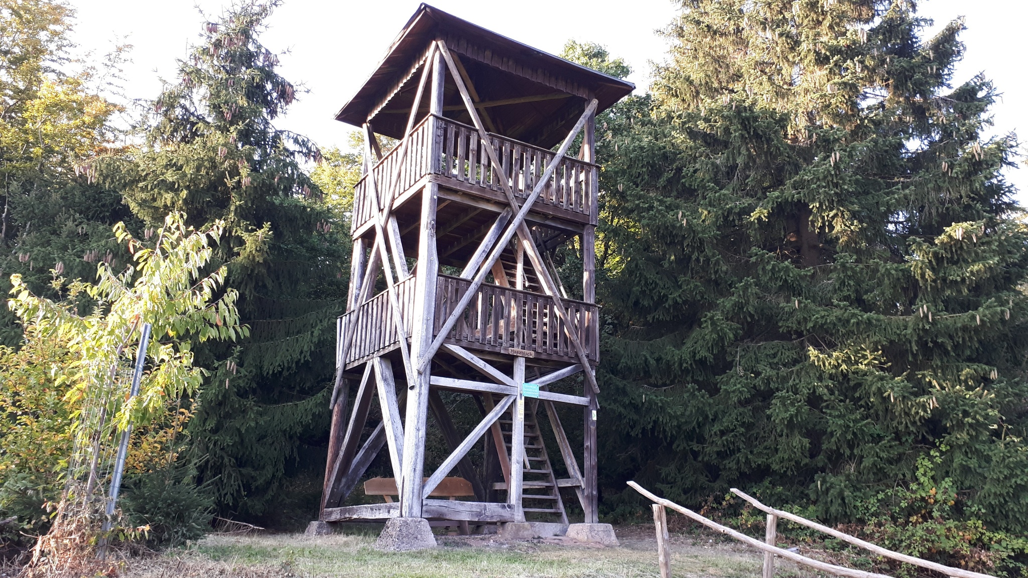 Harzblick