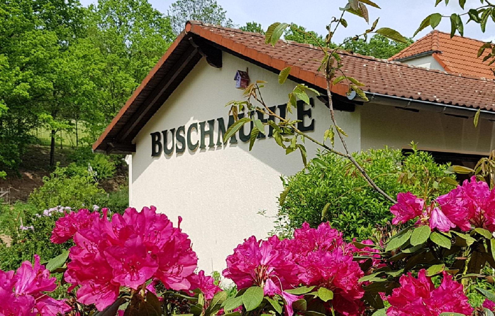 Biohof Buschmühle – Motiv