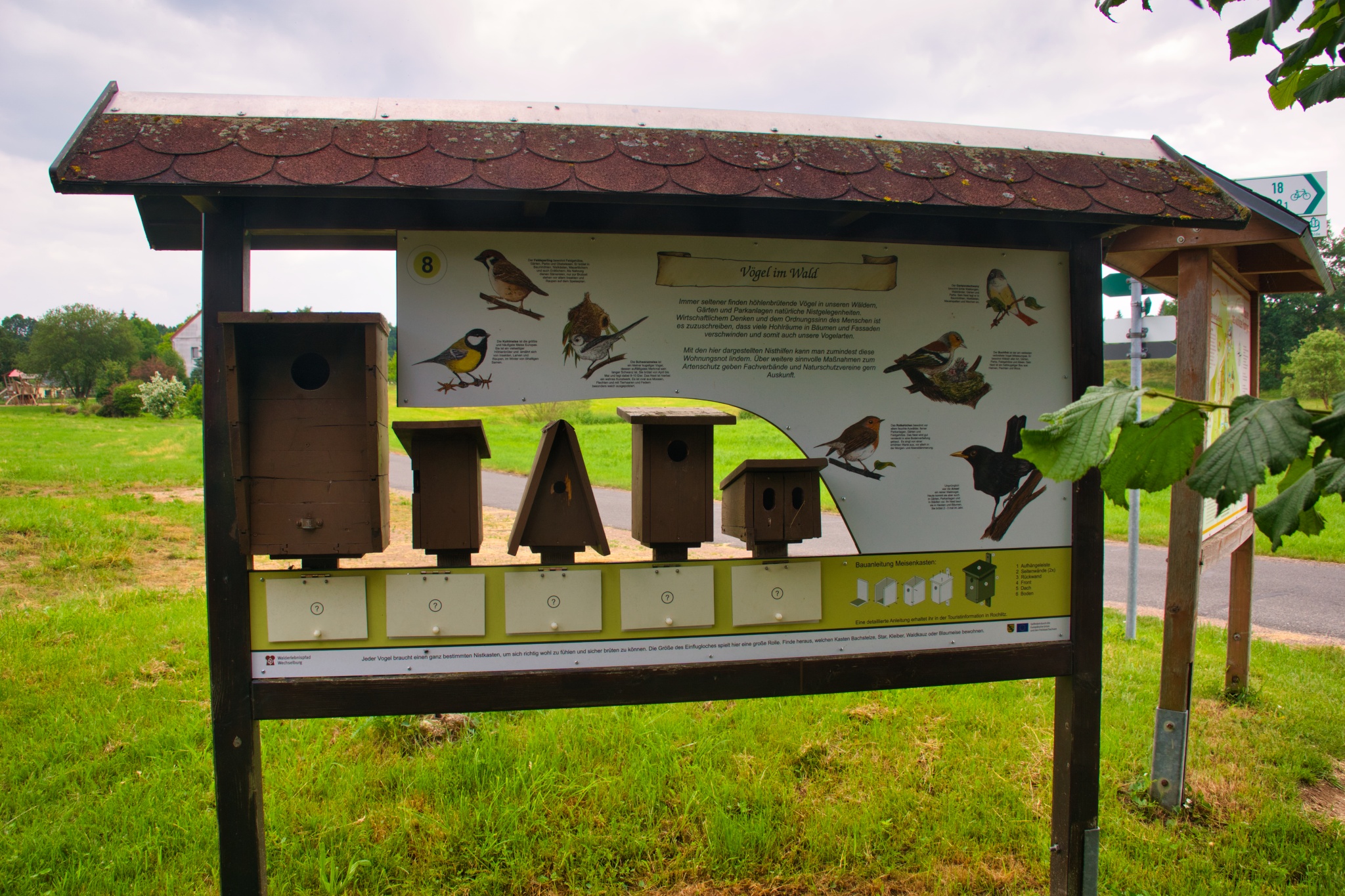 Walderlebnispfad Wechselburg – Station 8 – Motiv