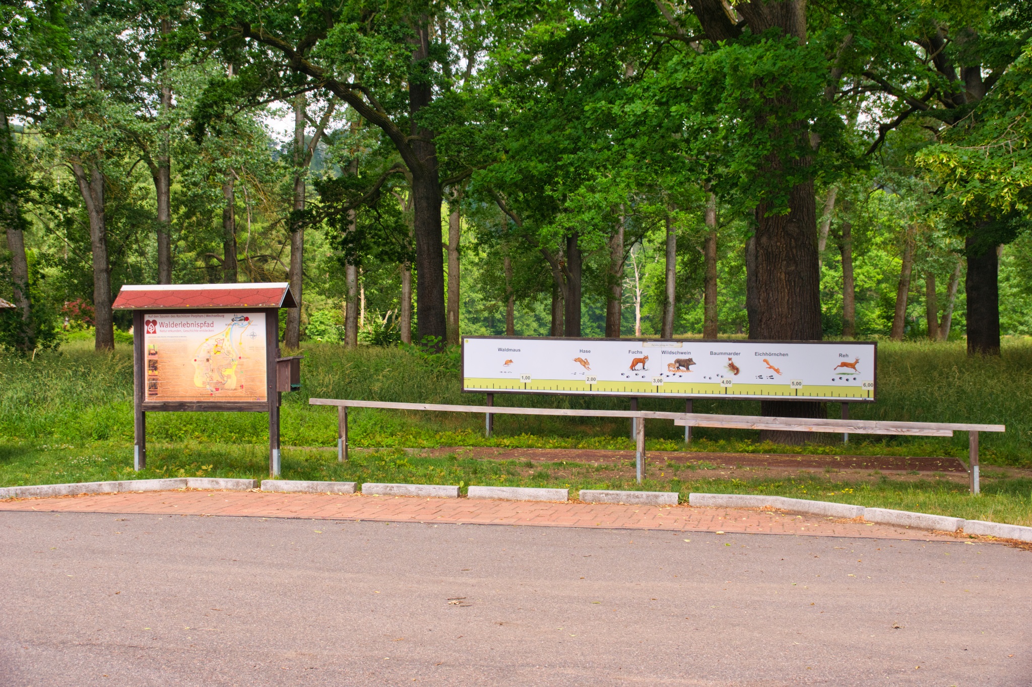 Walderlebnispfad Wechselburg – Station 1 – Motiv