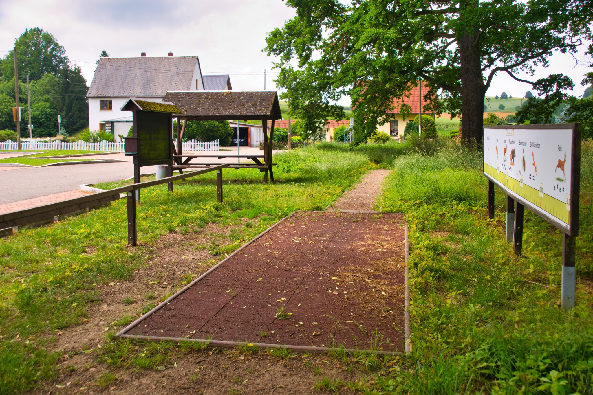 Wanderung vom Narsdorfer Bahnhof auf den Rochlitzer Berg – Motiv