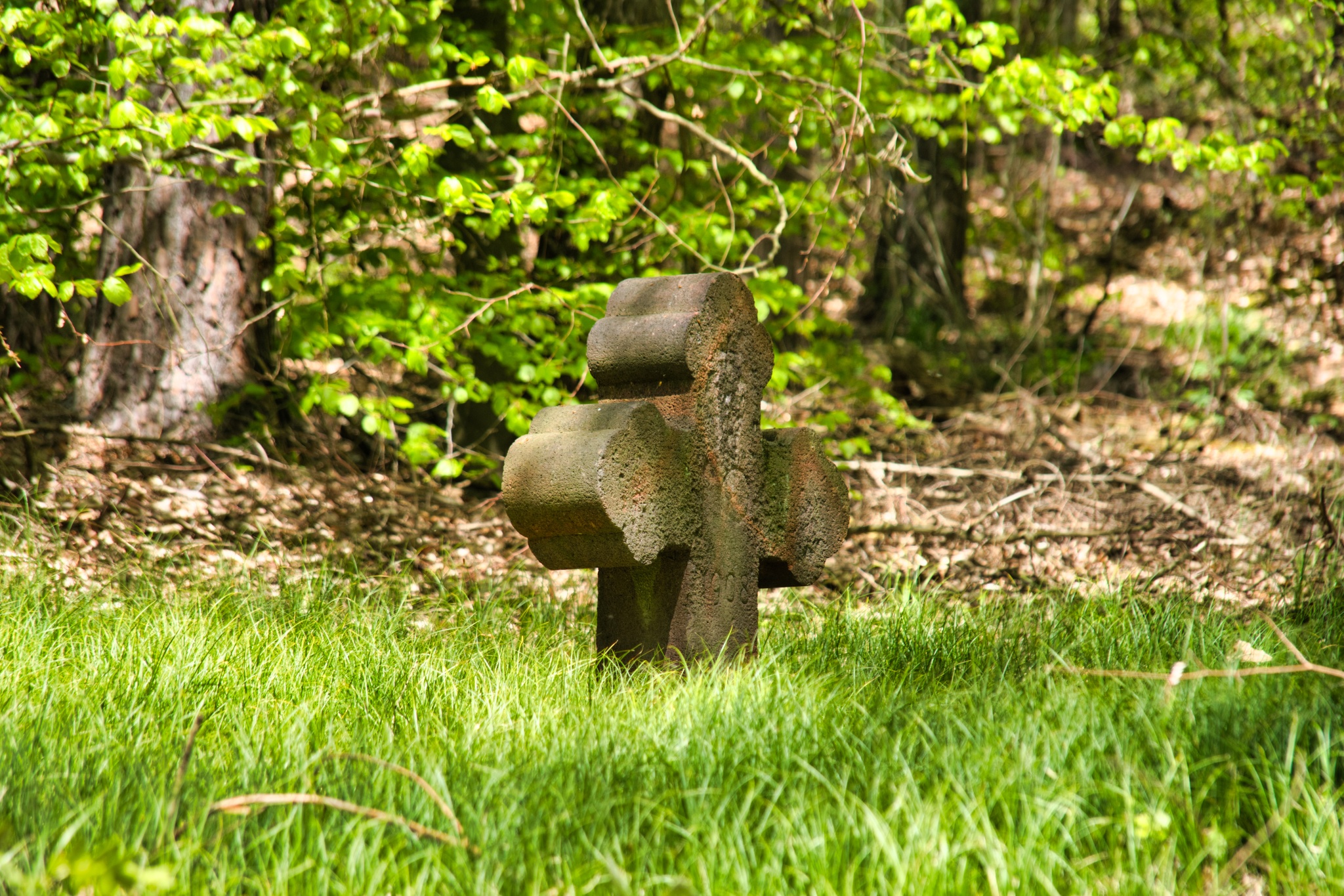 Erinnerungskreuz Rochlitzer Berg