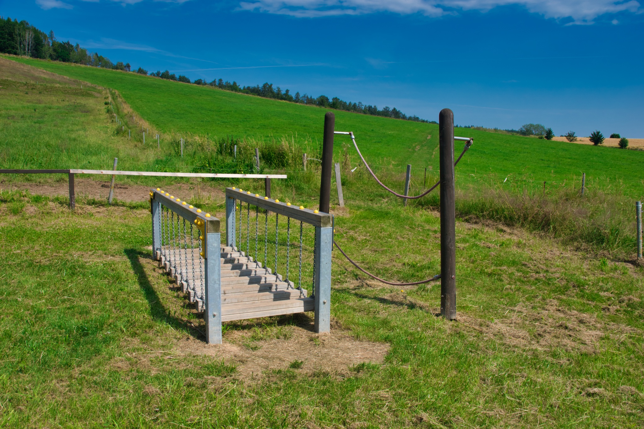 Walderlebnispfad Wechselburg – Station 7 – Motiv