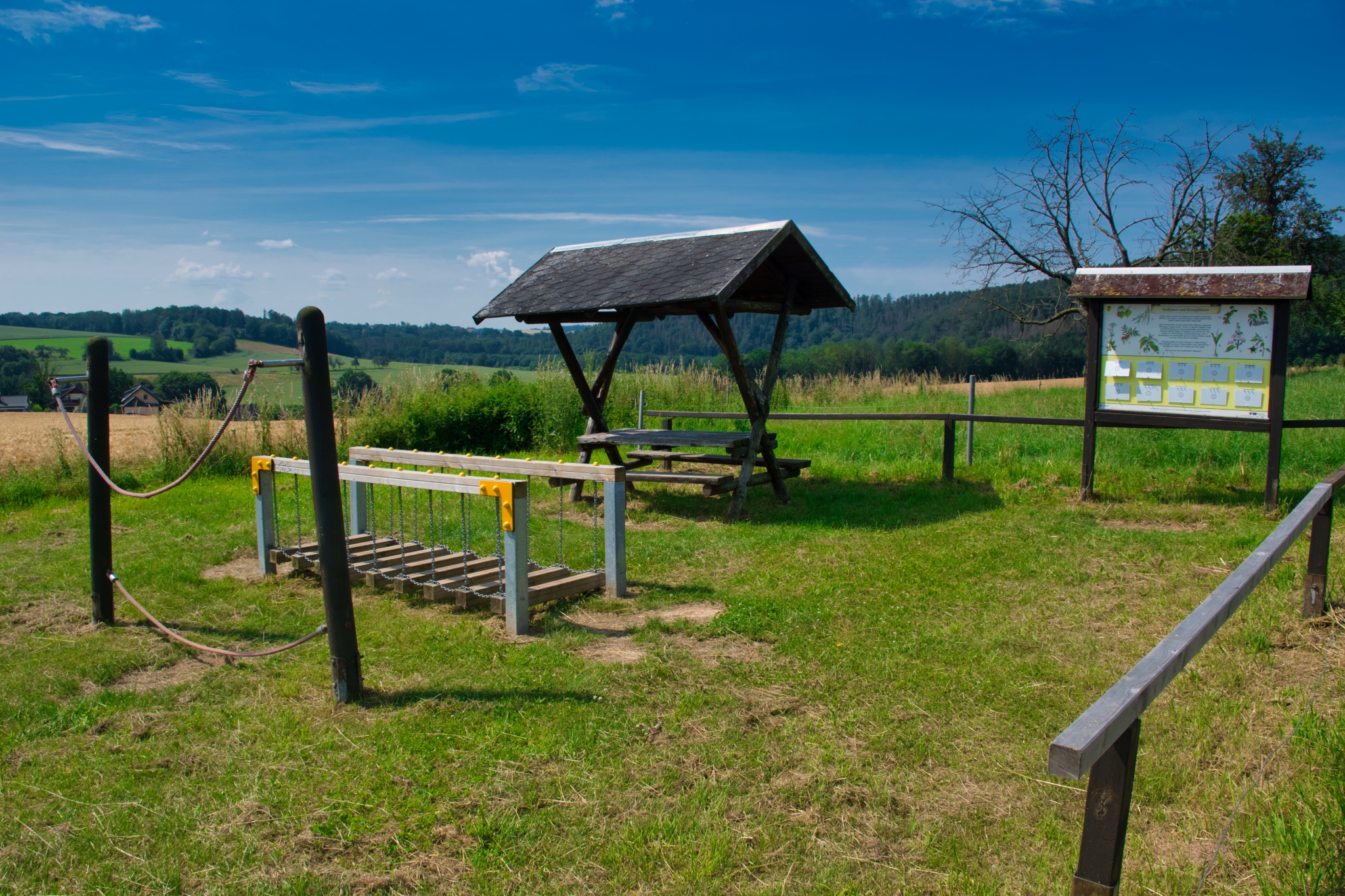 Walderlebnispfad Wechselburg – Station 7 – Motiv