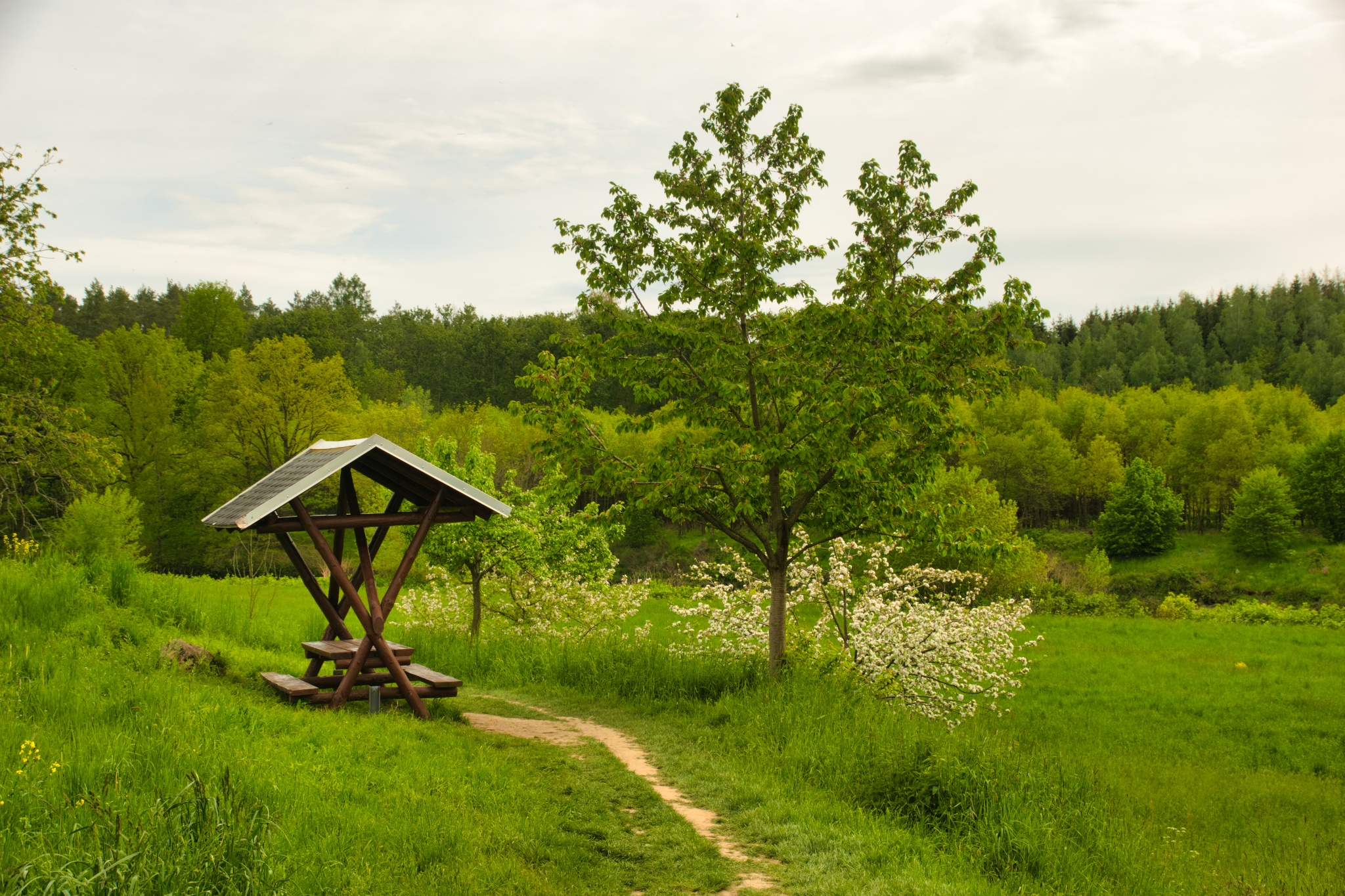 Rastplatz Fischheimer Borstel