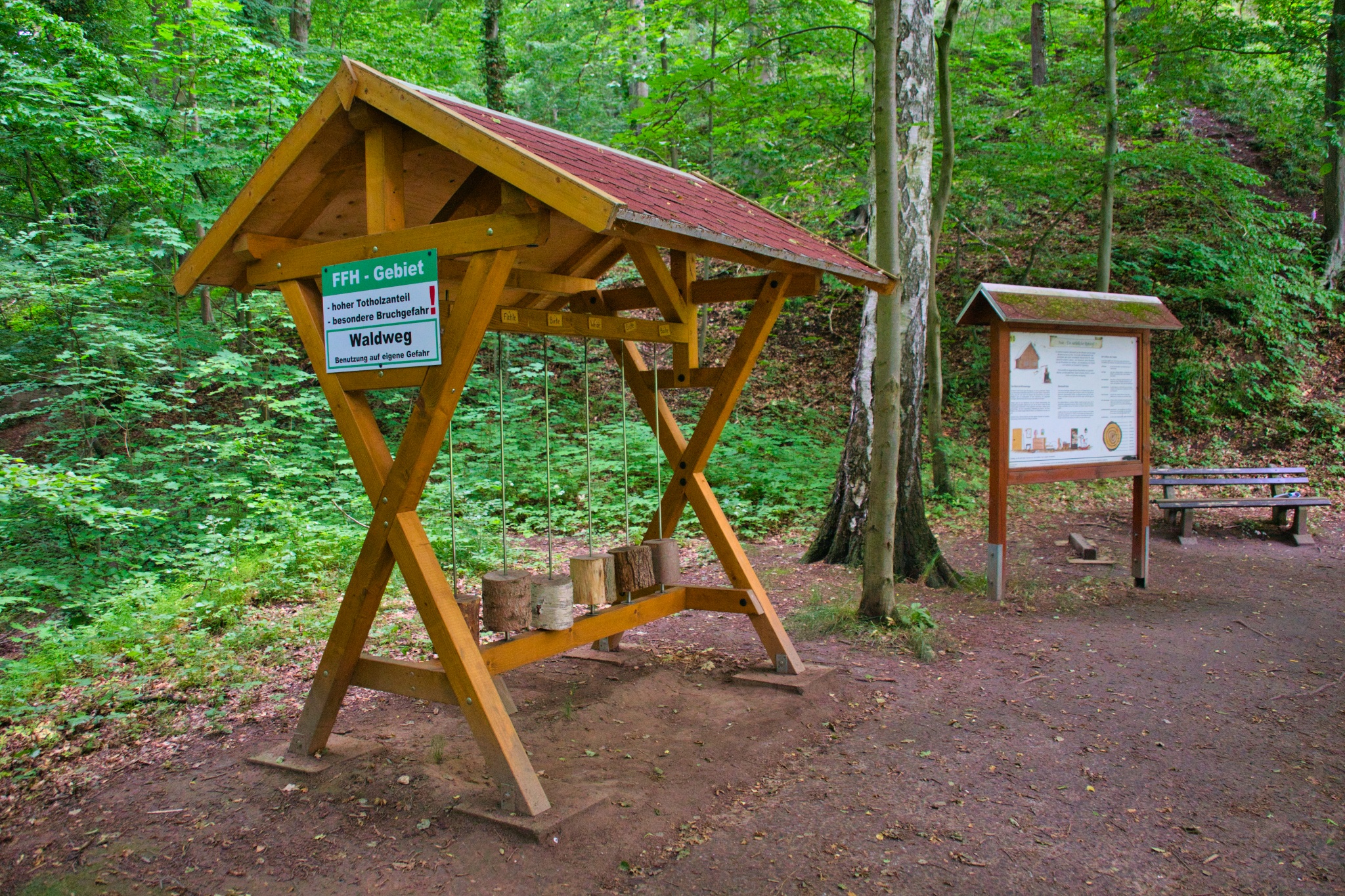 Walderlebnispfad Wechselburg – Station 10 – Motiv