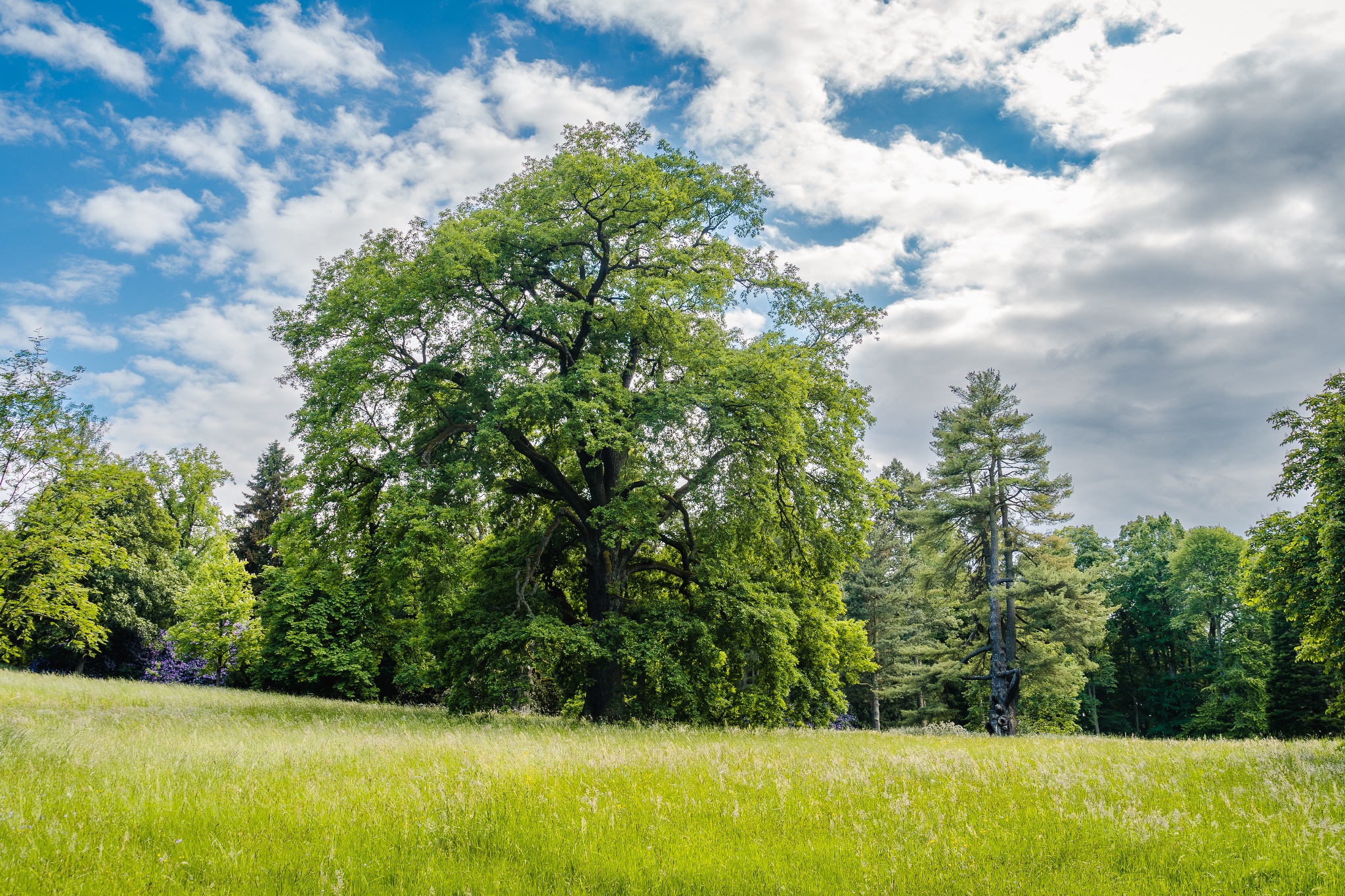 Schlosspark Wechselburg – Motiv