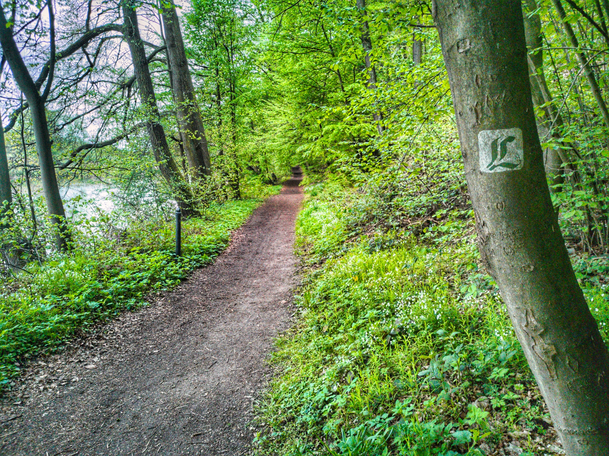 Lutherweg Rochlitz-Penig