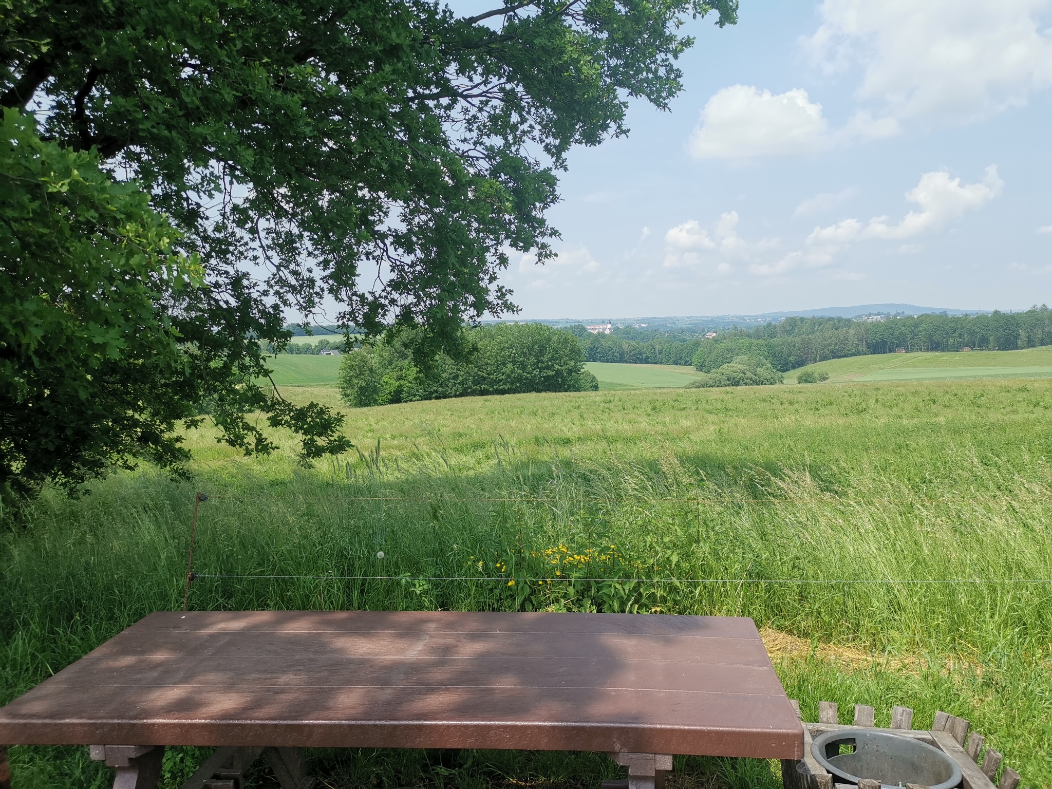 Rastplatz Blick auf Schloss Rochsburg