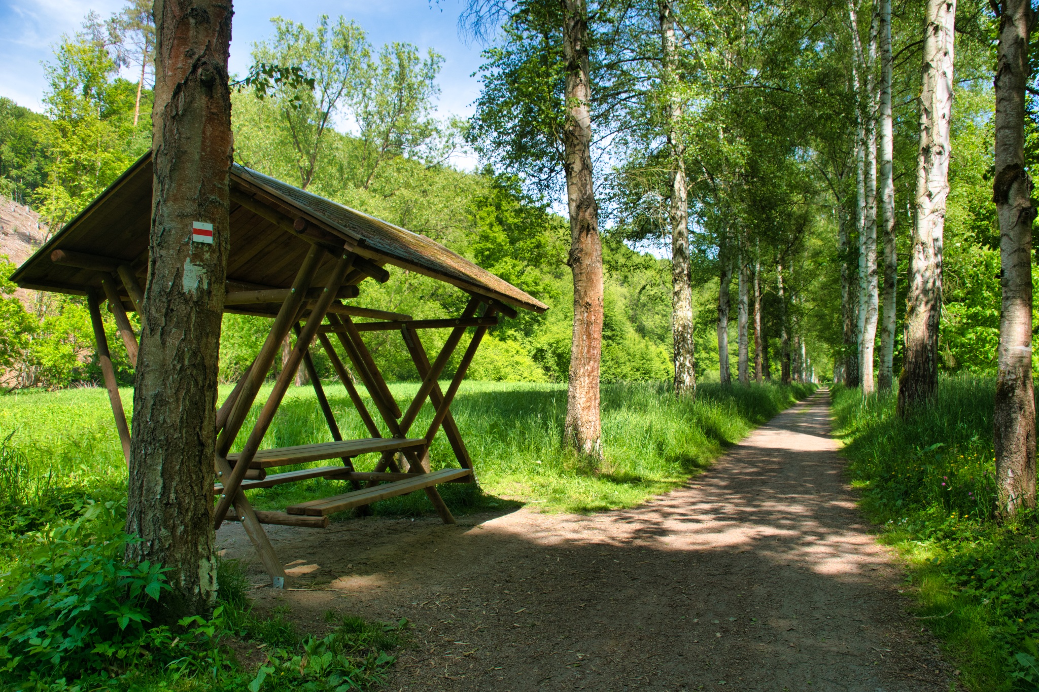 Rastplatz Johann Günzel – Allee – Motiv
