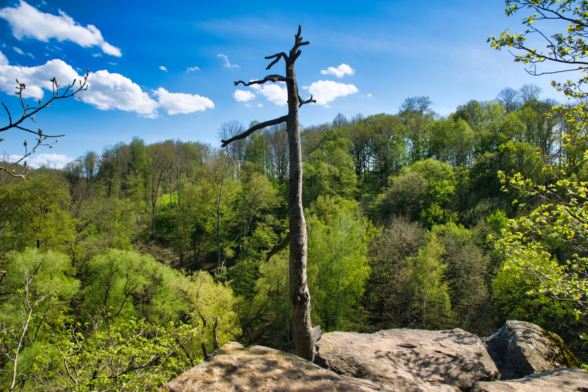 Amtmannsfelsen – Motiv