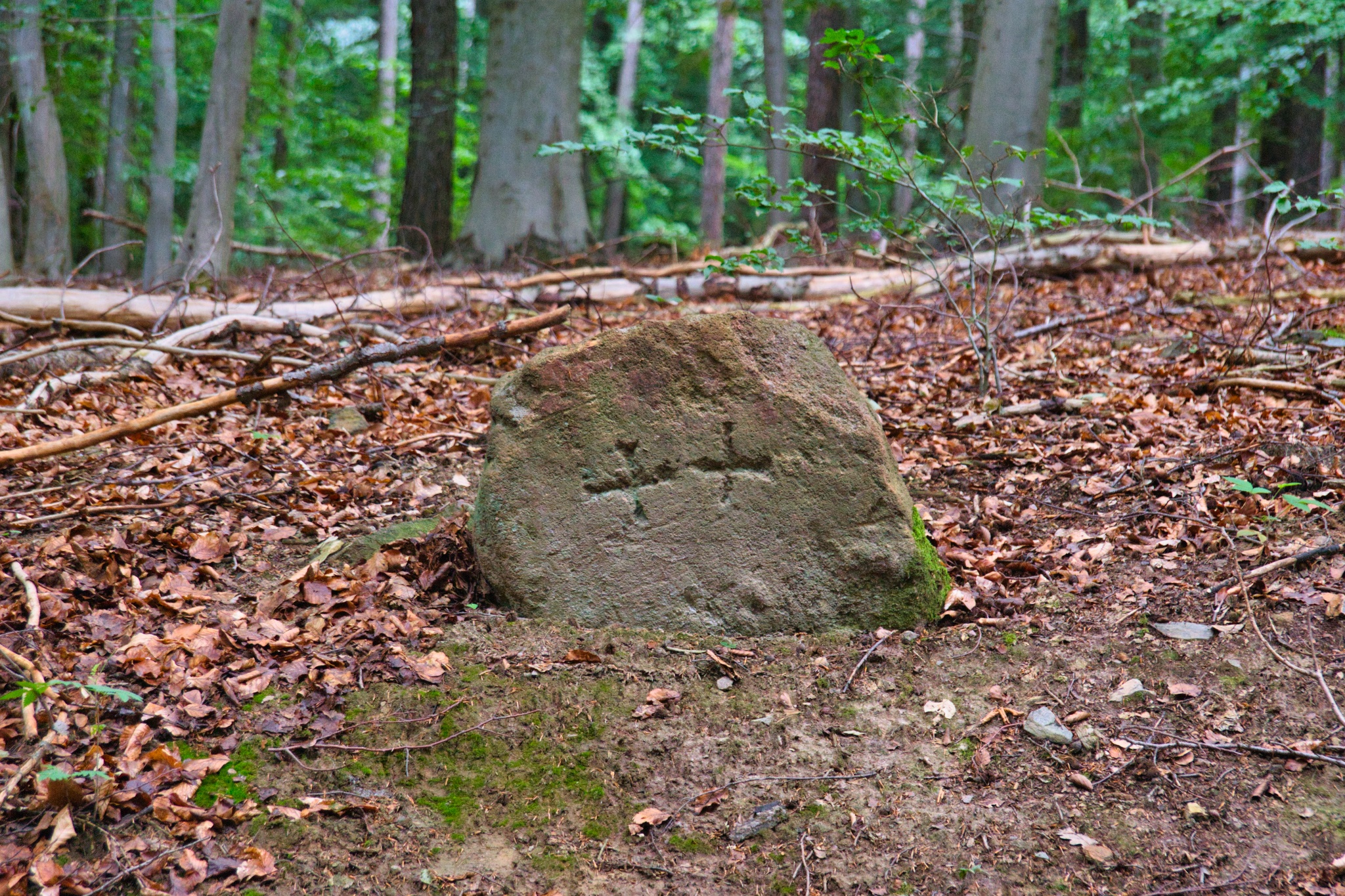 Sühnestein – „Templerstein“ – Motiv