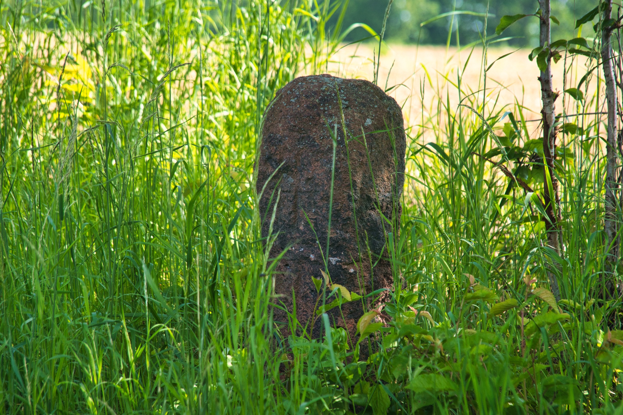 Sühnekreuz Cossen I – Motiv