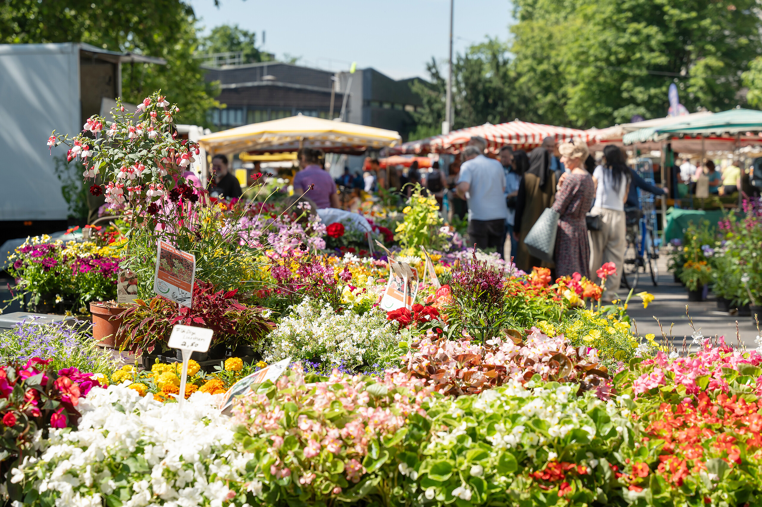 Höchst weekly market